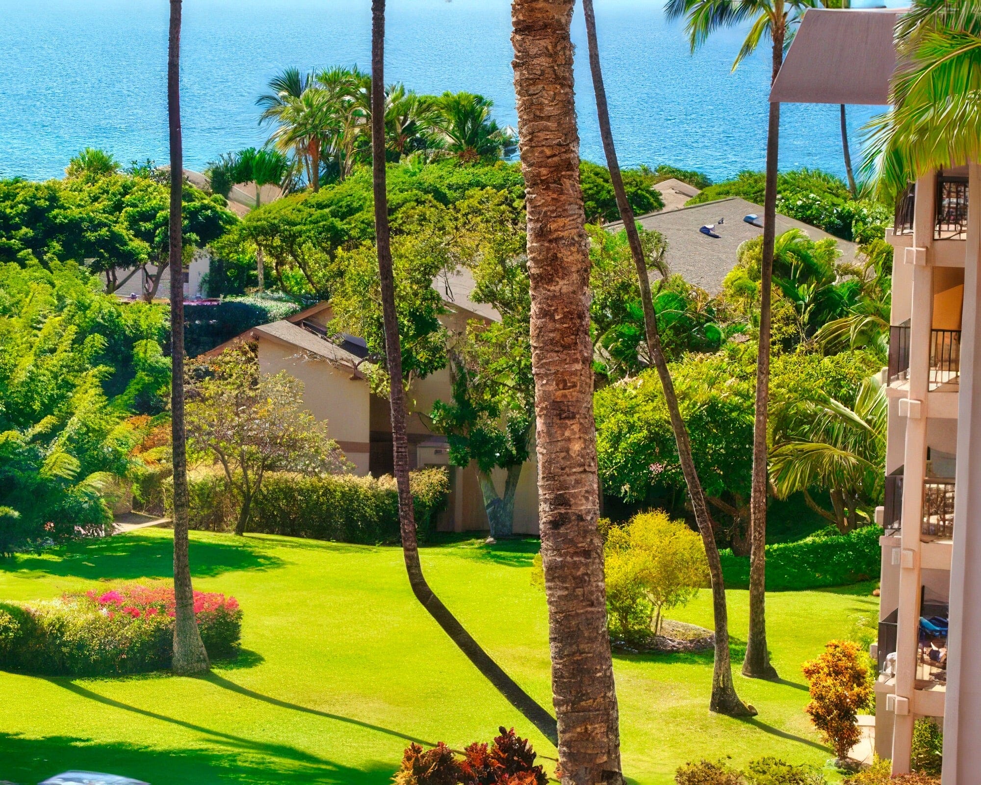 Kihei Akahi - Image 2