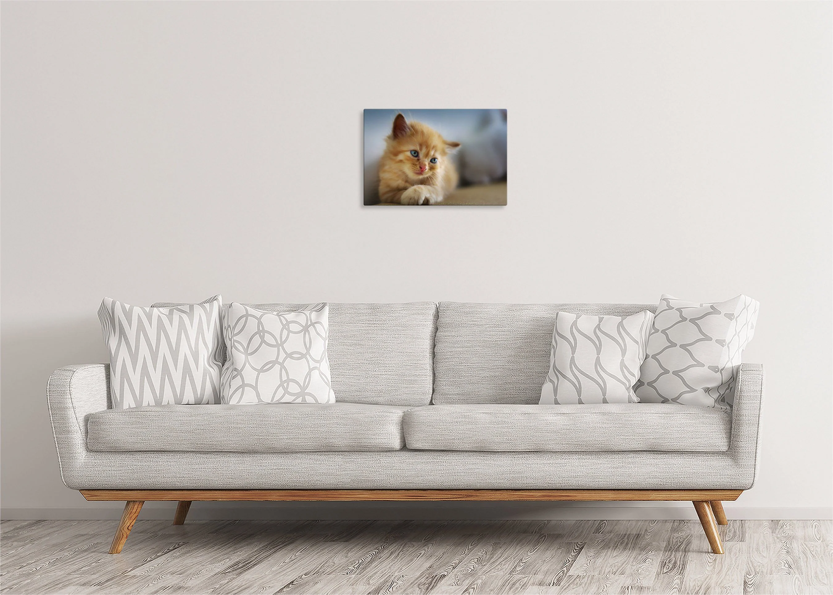 Kitten | Gallery Wrap Wall Canvas - Image 3