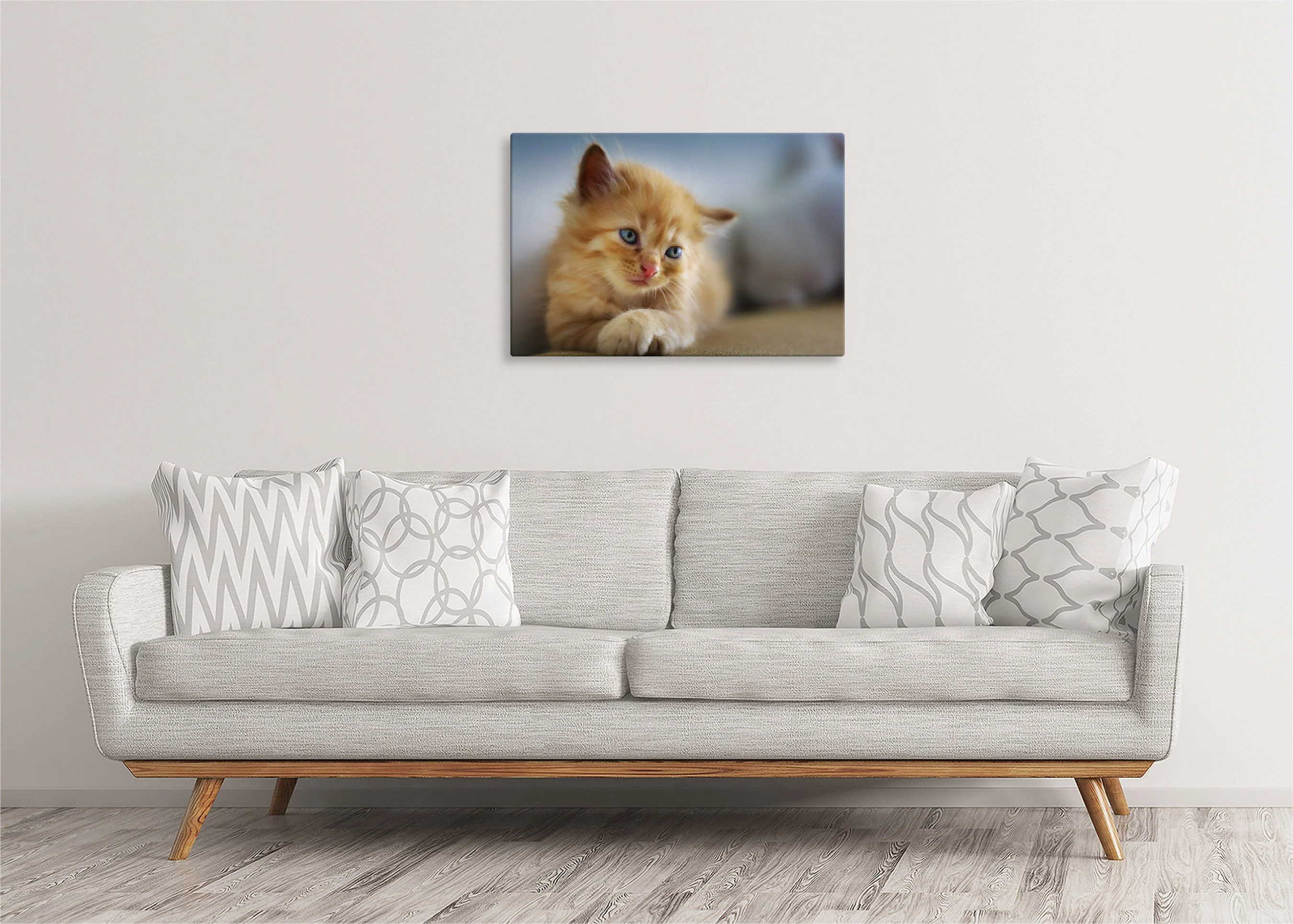 Kitten | Gallery Wrap Wall Canvas - Image 4
