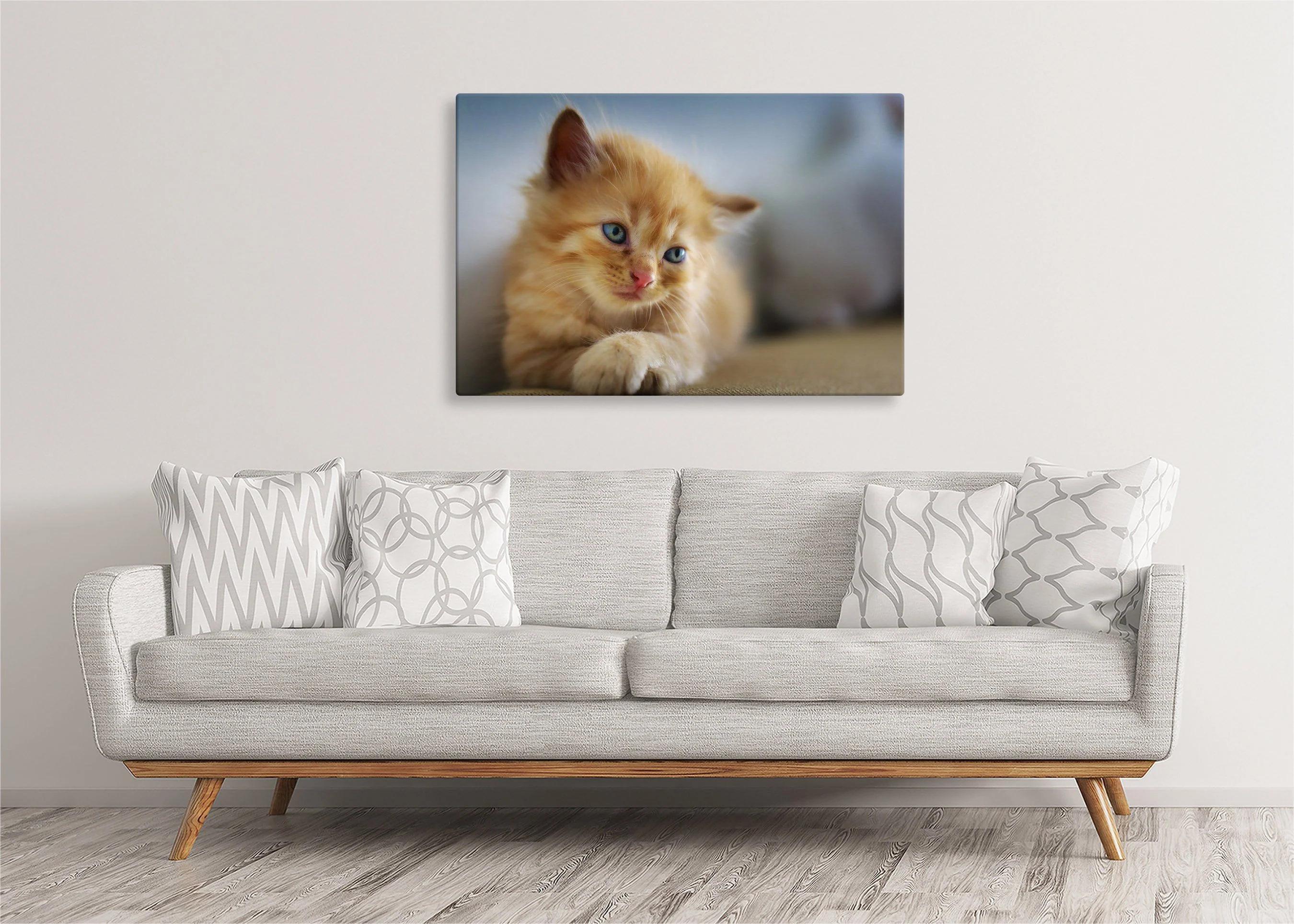 Kitten | Gallery Wrap Wall Canvas - Image 5