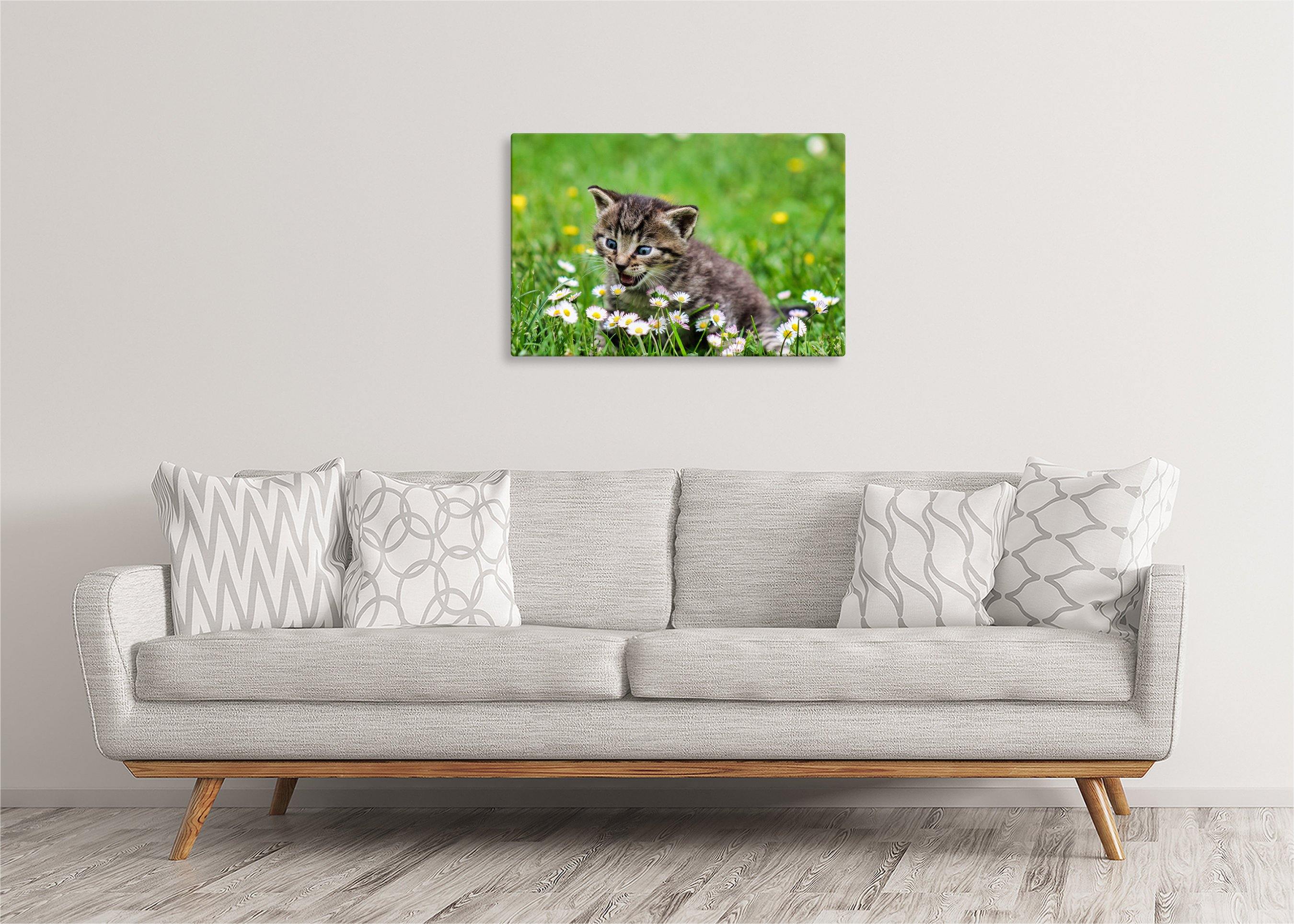 Kitten with Flowers | Gallery Wrap Wall Canvas - Image 4