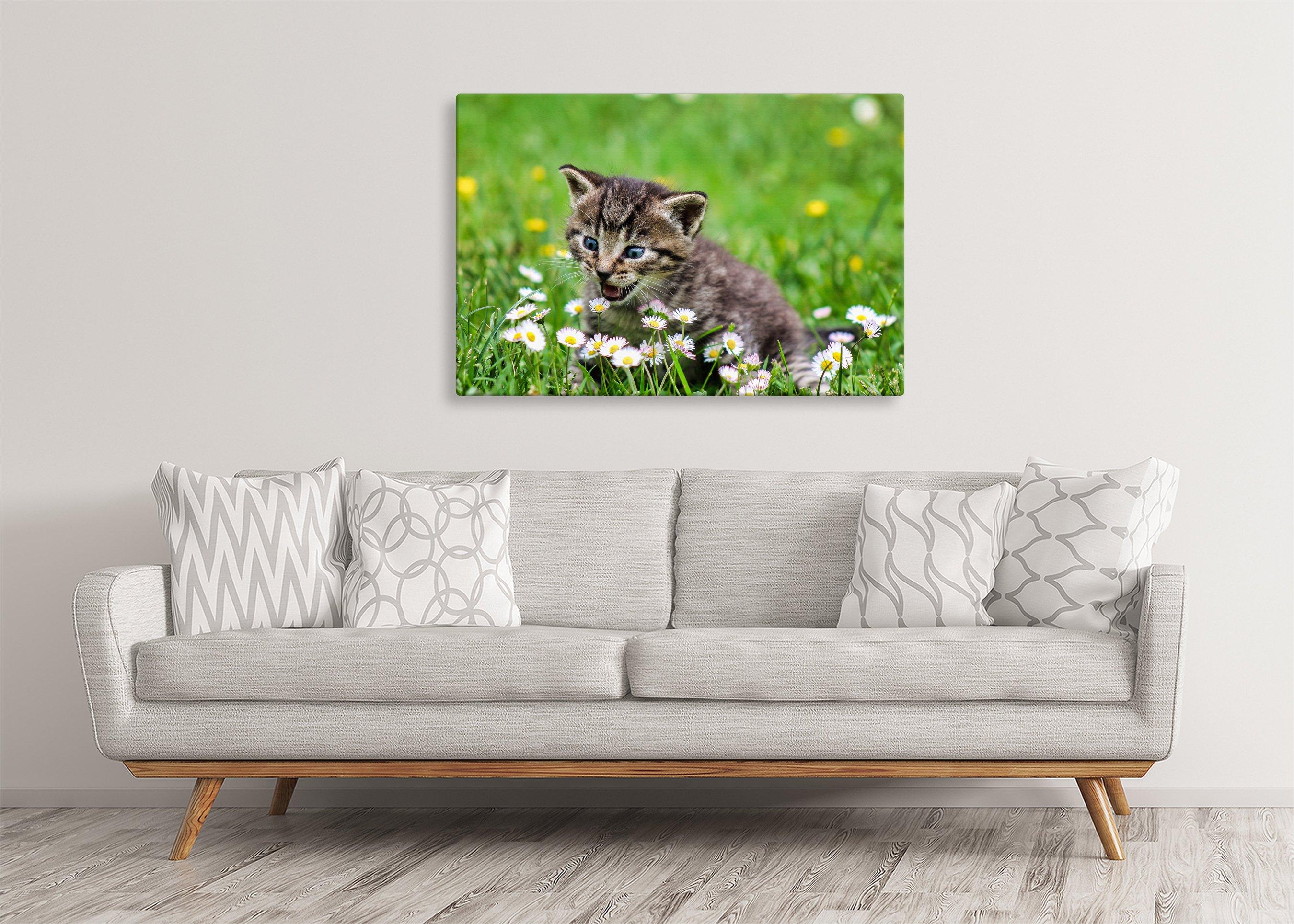 Kitten with Flowers | Gallery Wrap Wall Canvas - Image 5