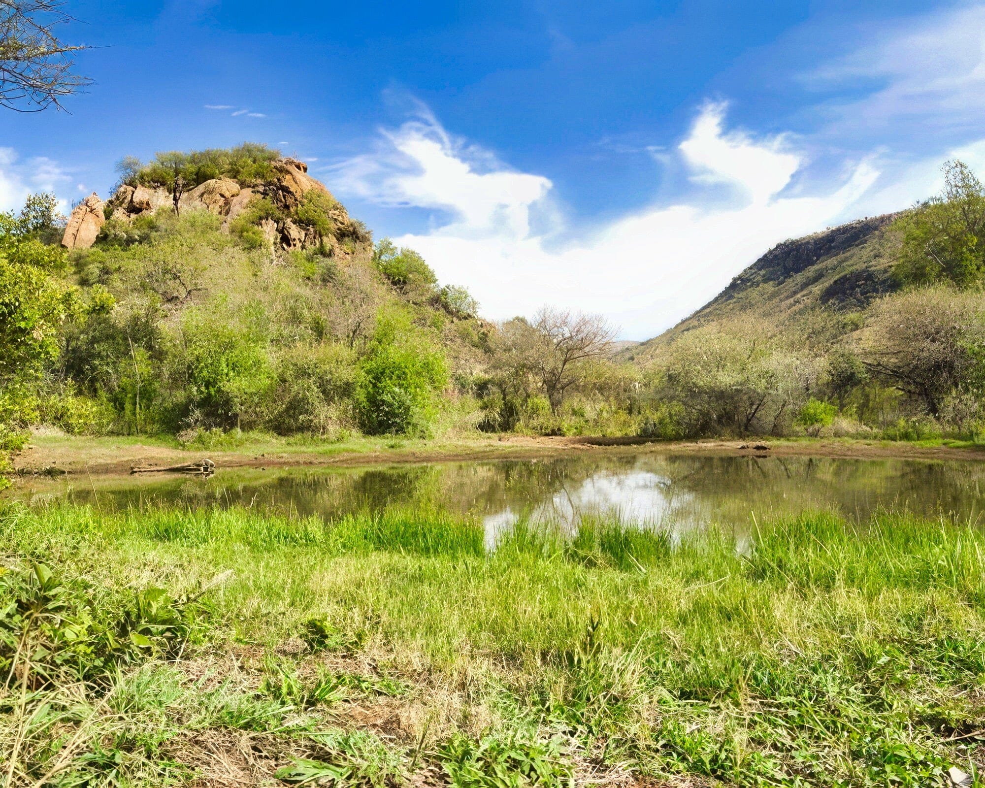 Kwa Maritane Bush Lodge - Image 11