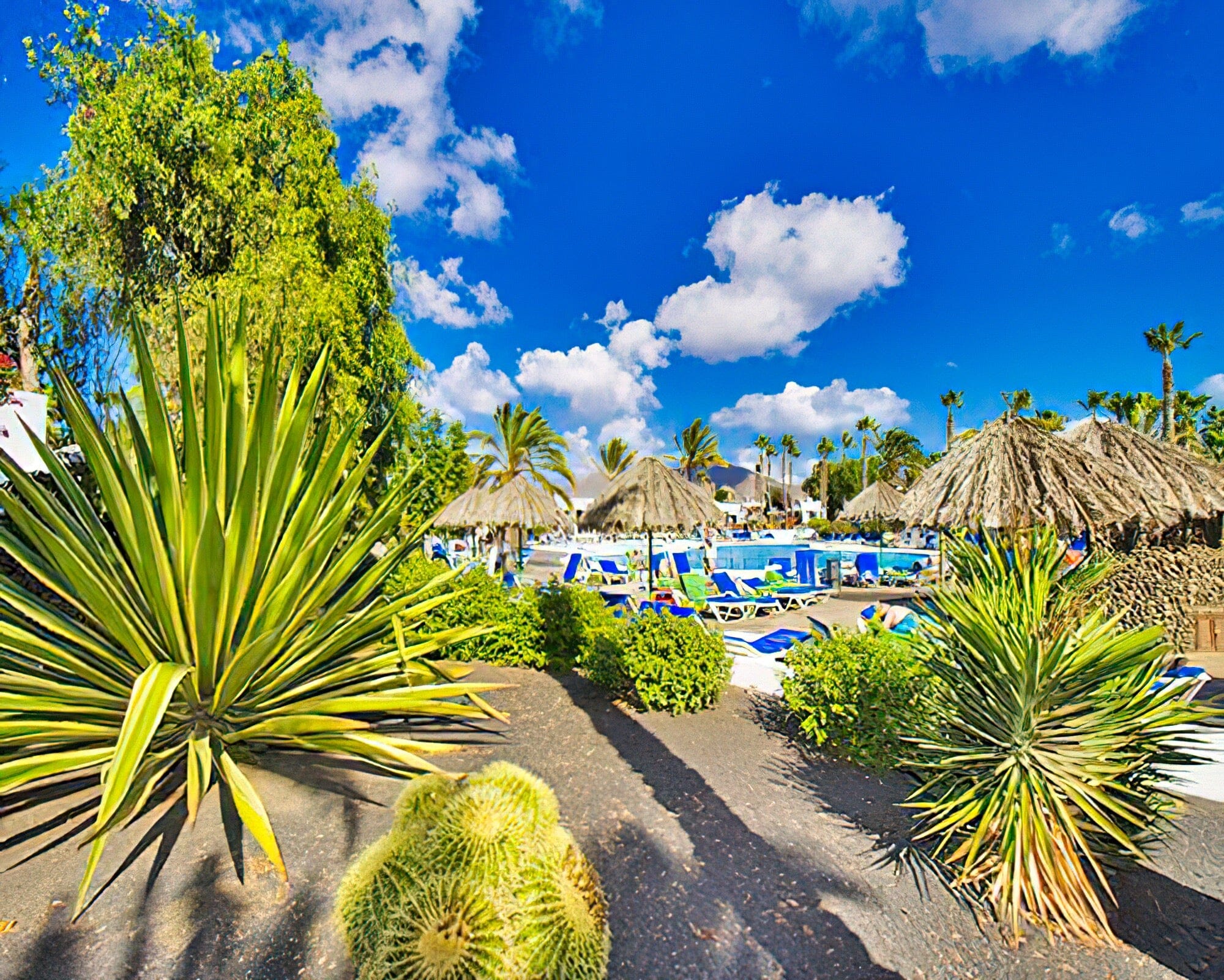 Las Brisas - Image 24