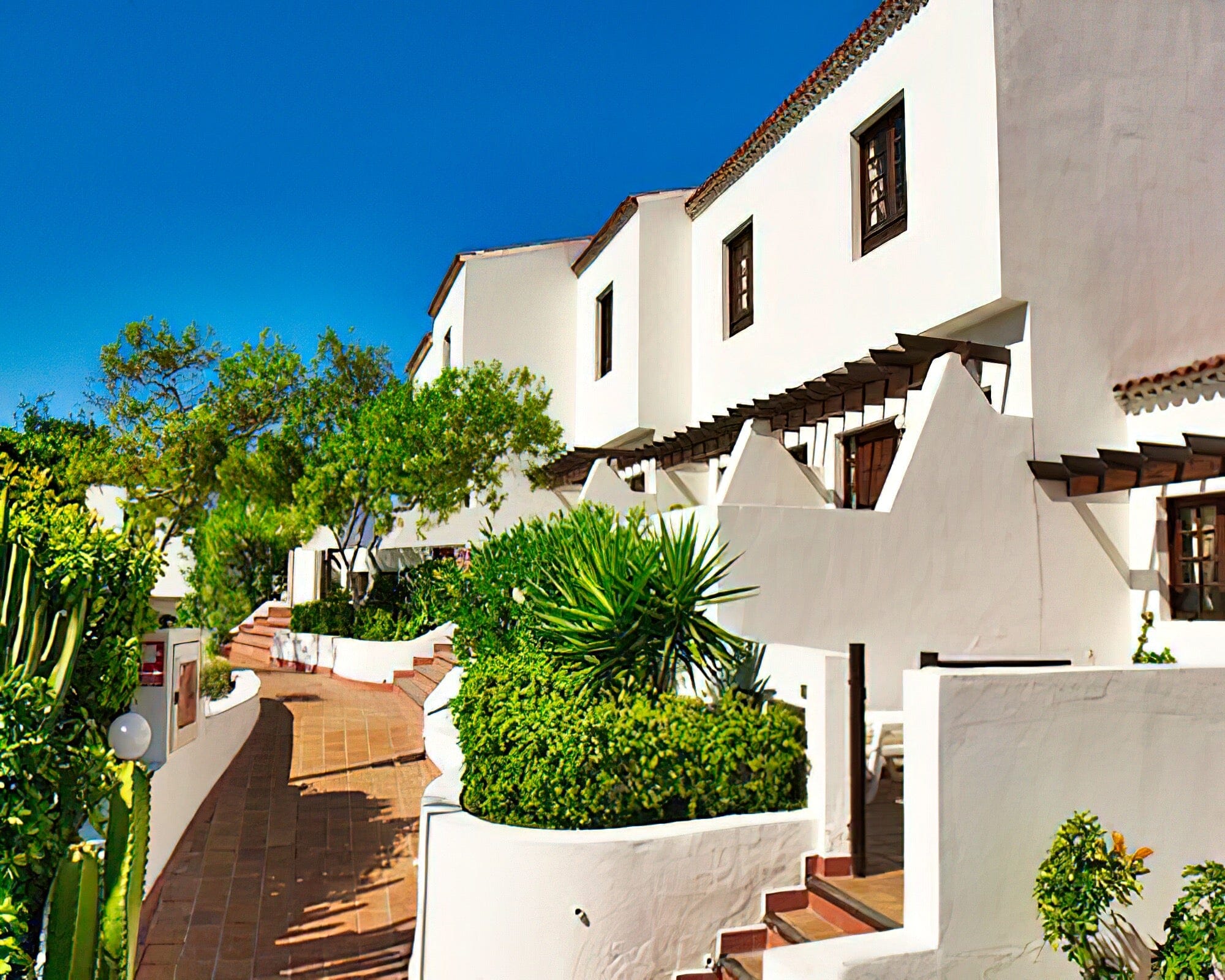 Las Rosas Resort - Image 12