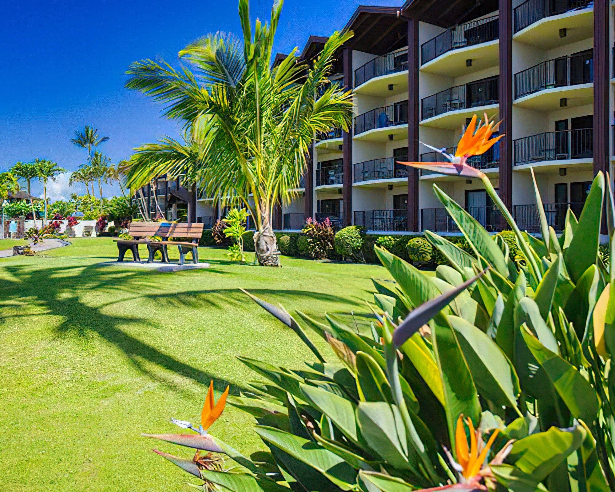 Lawai Beach Resort - Image 3
