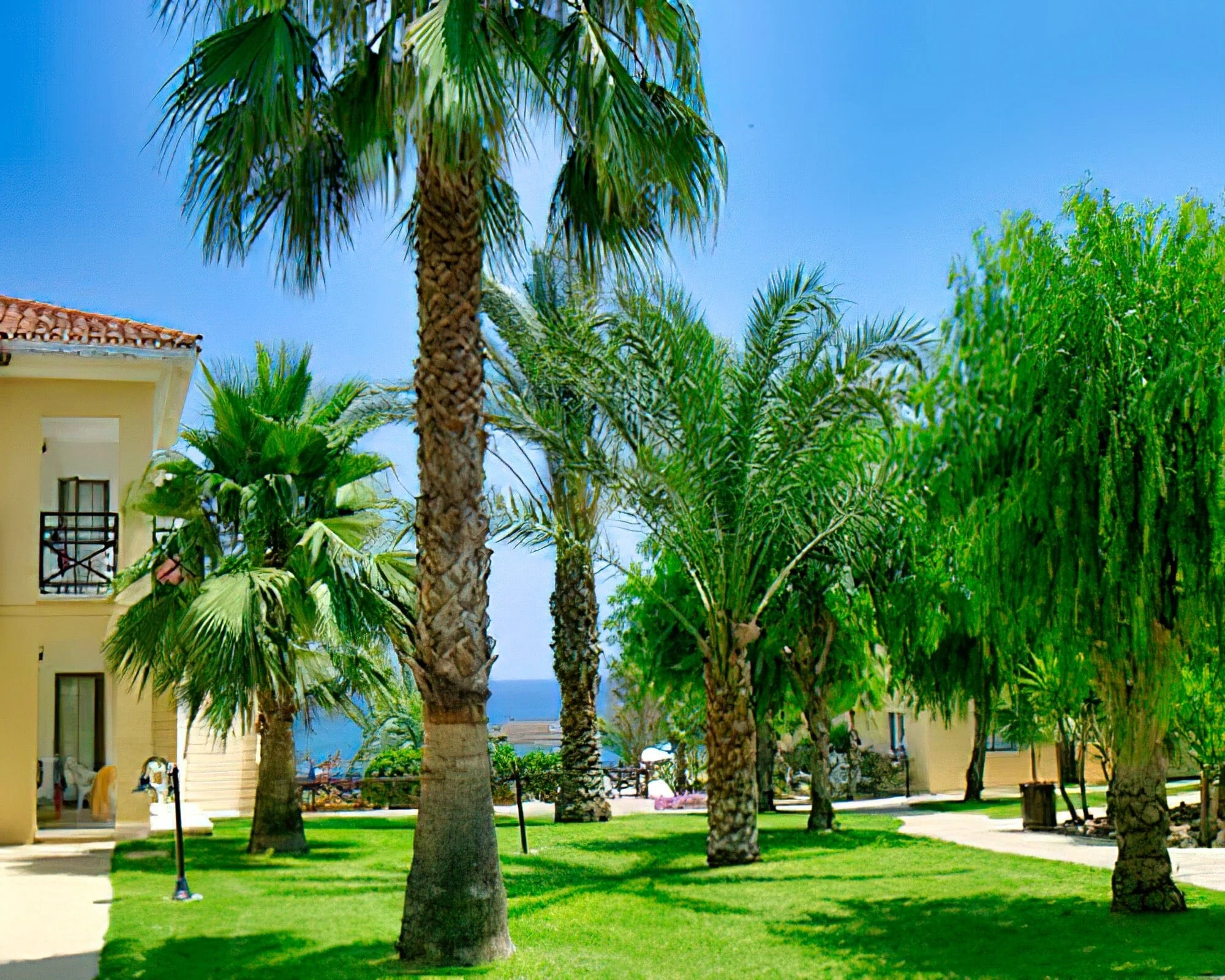 Malama Beach Club - Image 13