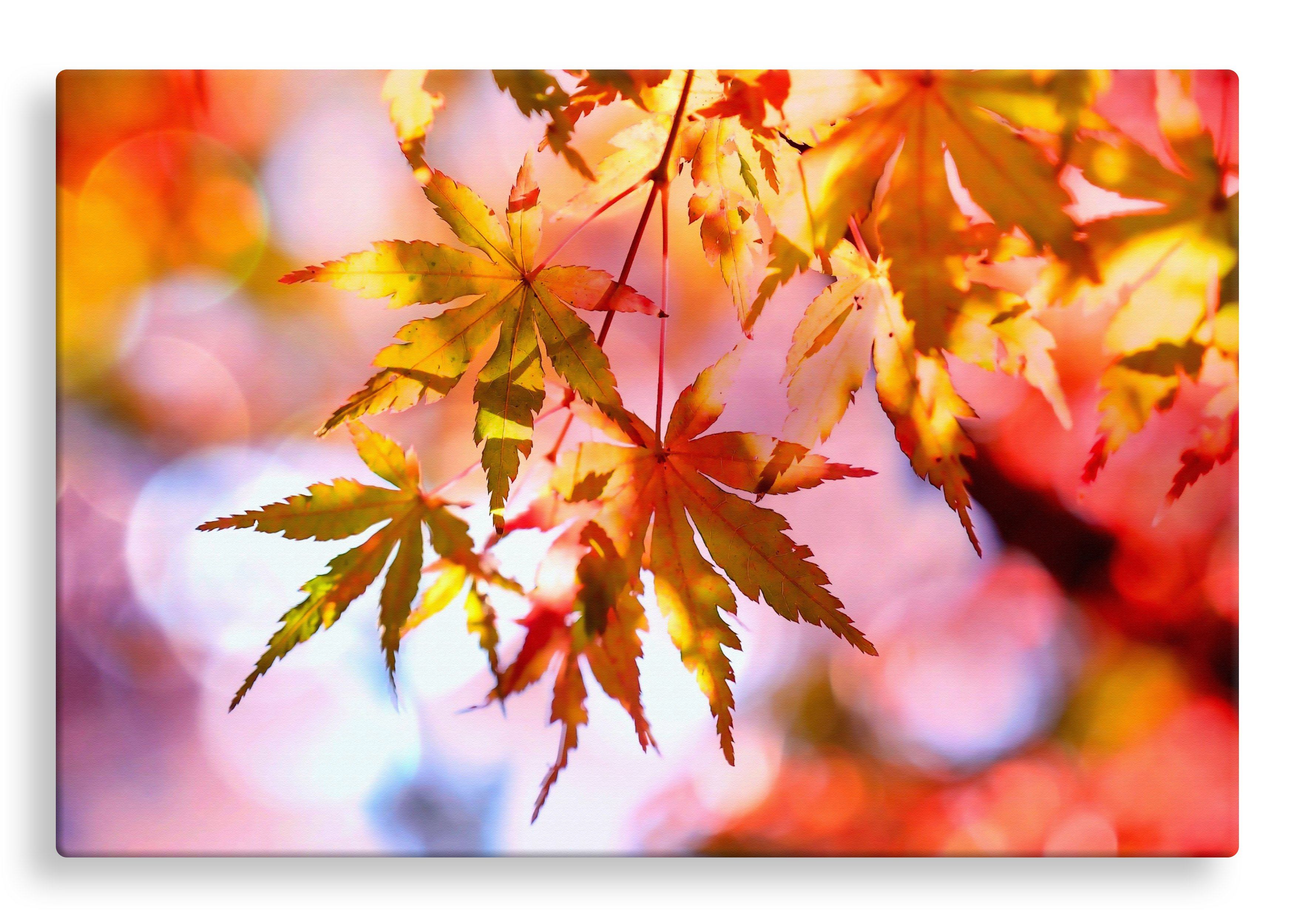 Maple Leaves | Gallery Wrap Wall Canvas