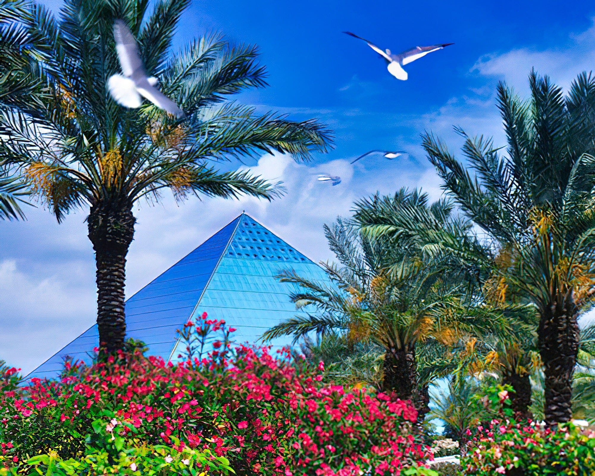Moody Gardens Hotel, Spa and Convention Center - Image 5