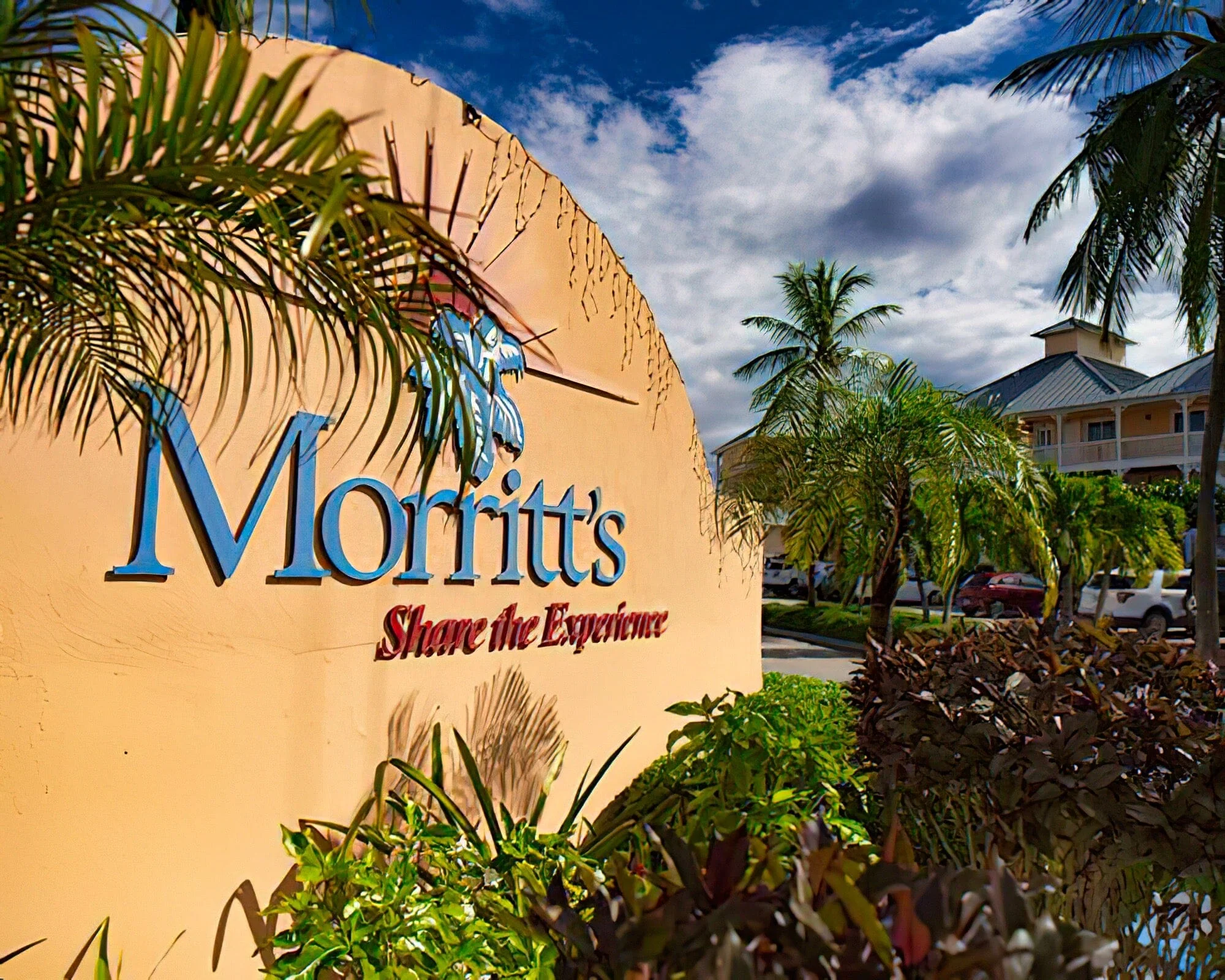 Morritt's Tortuga Club - Image 13