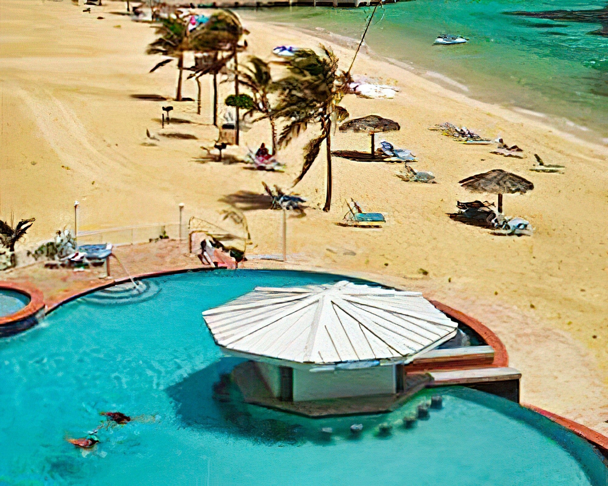 Morritt's Tortuga Club - Image 5