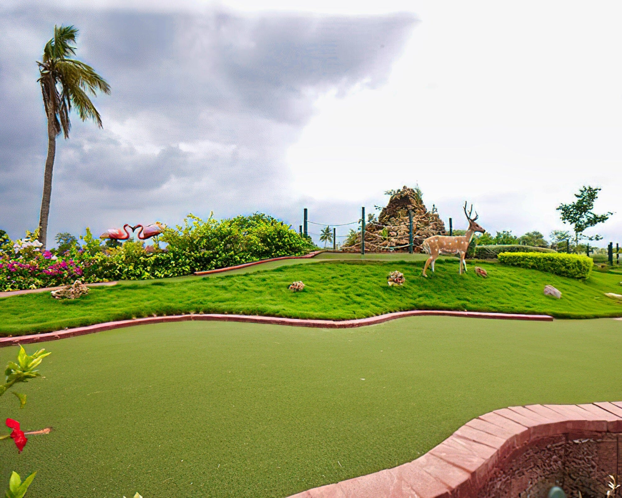 Neonz Lifestyle & Recreation Club - Image 4