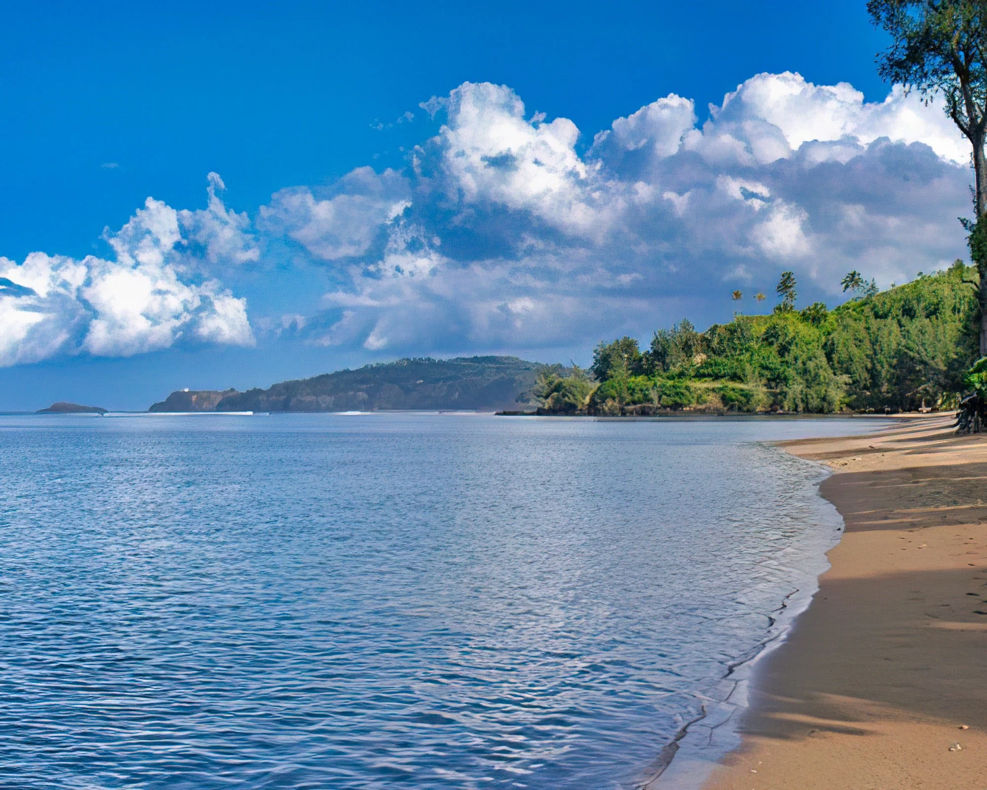 Pacific Fantasy - Image 17