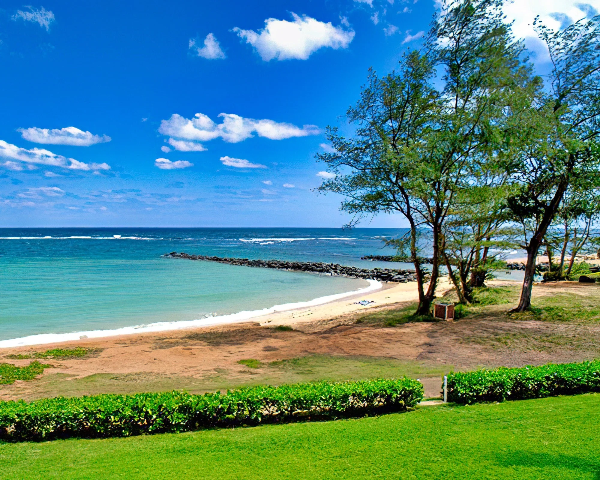 Pacific Fantasy - Image 18