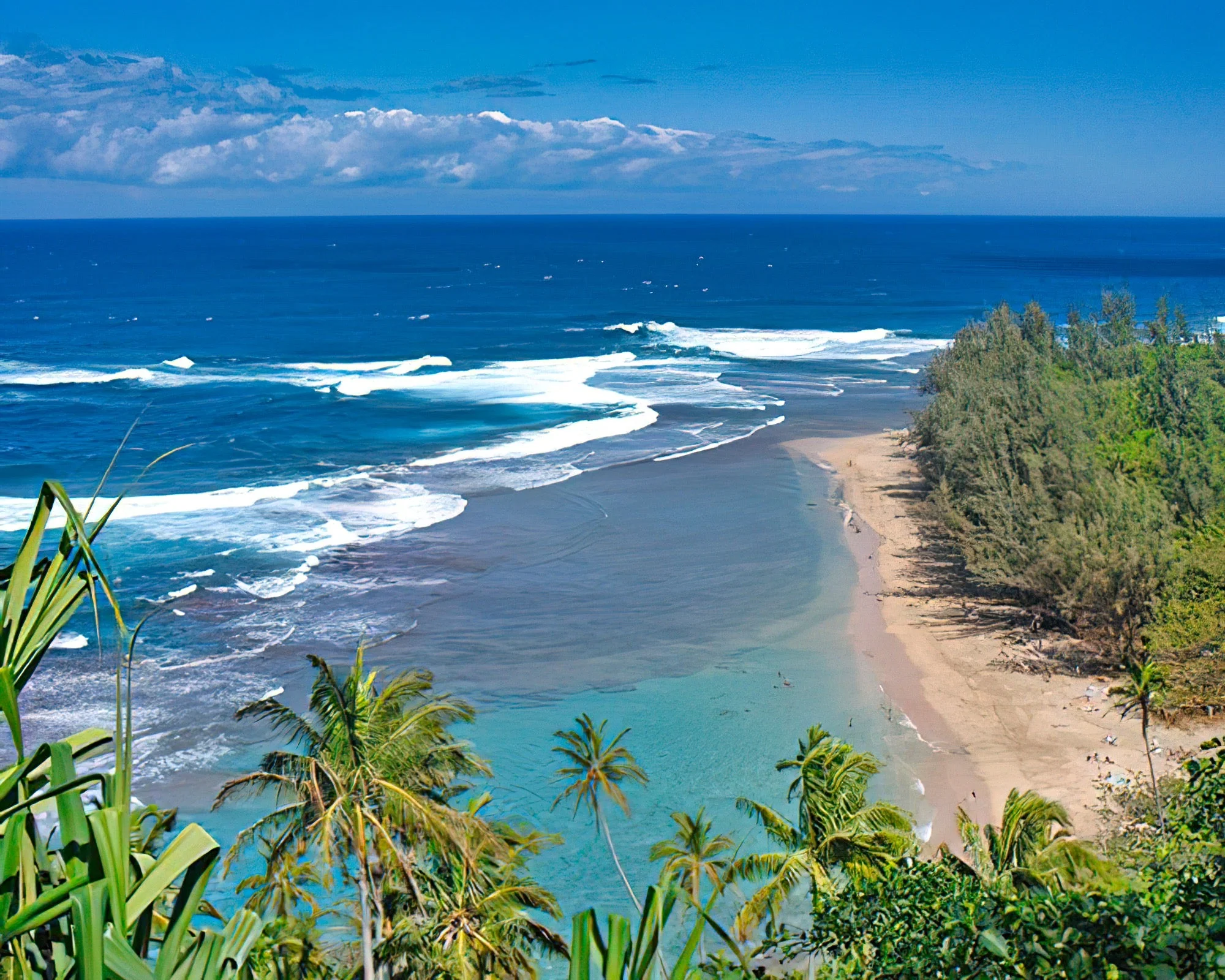 Pacific Fantasy - Image 2