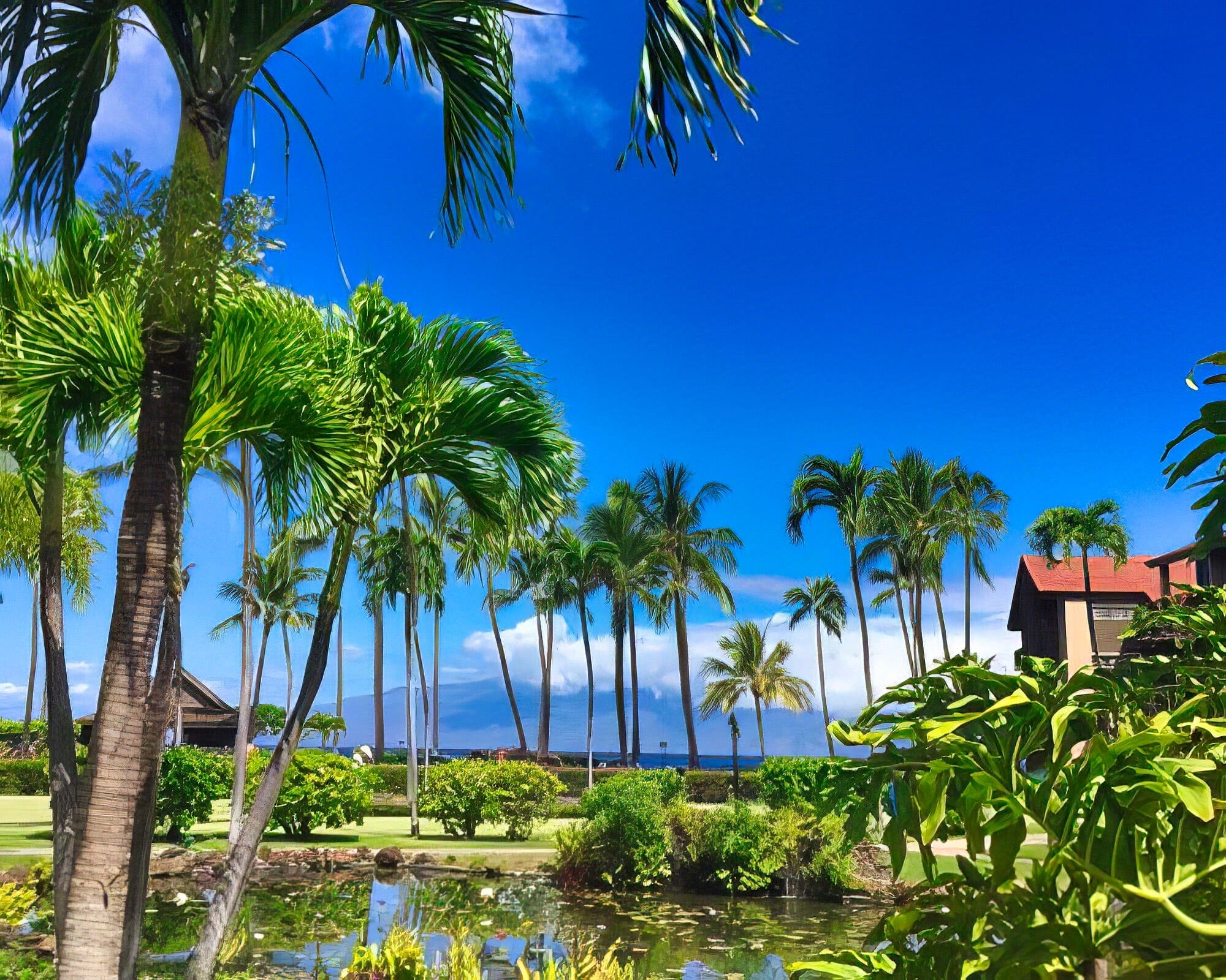 Papakea Resort - Image 8
