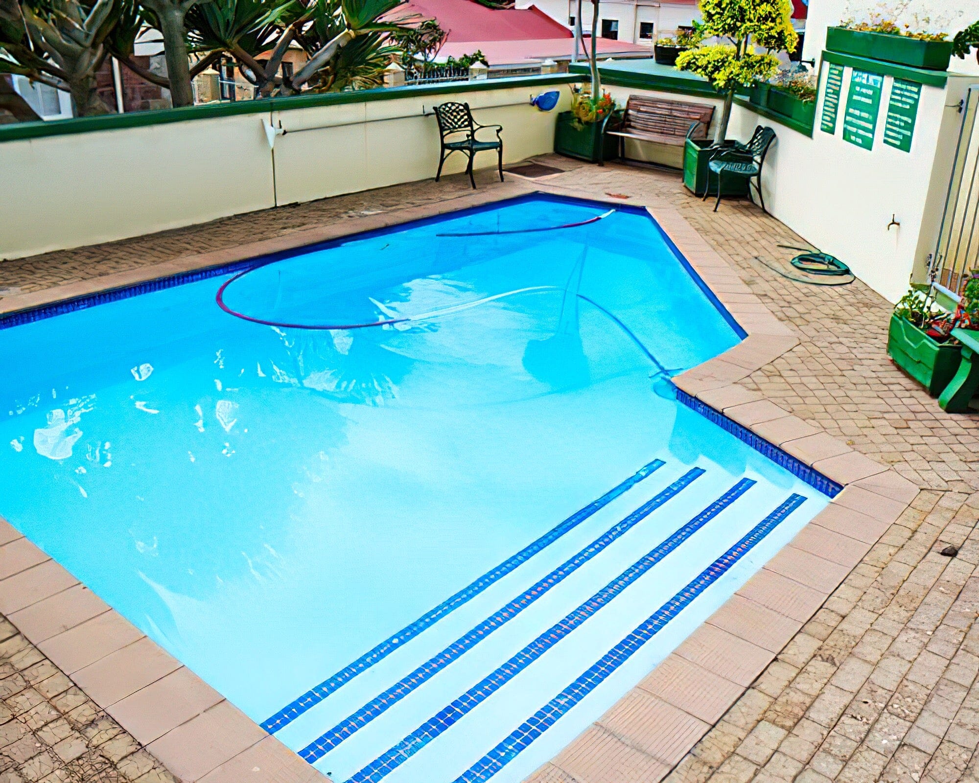 Perna Perna Mossel Bay - Image 11