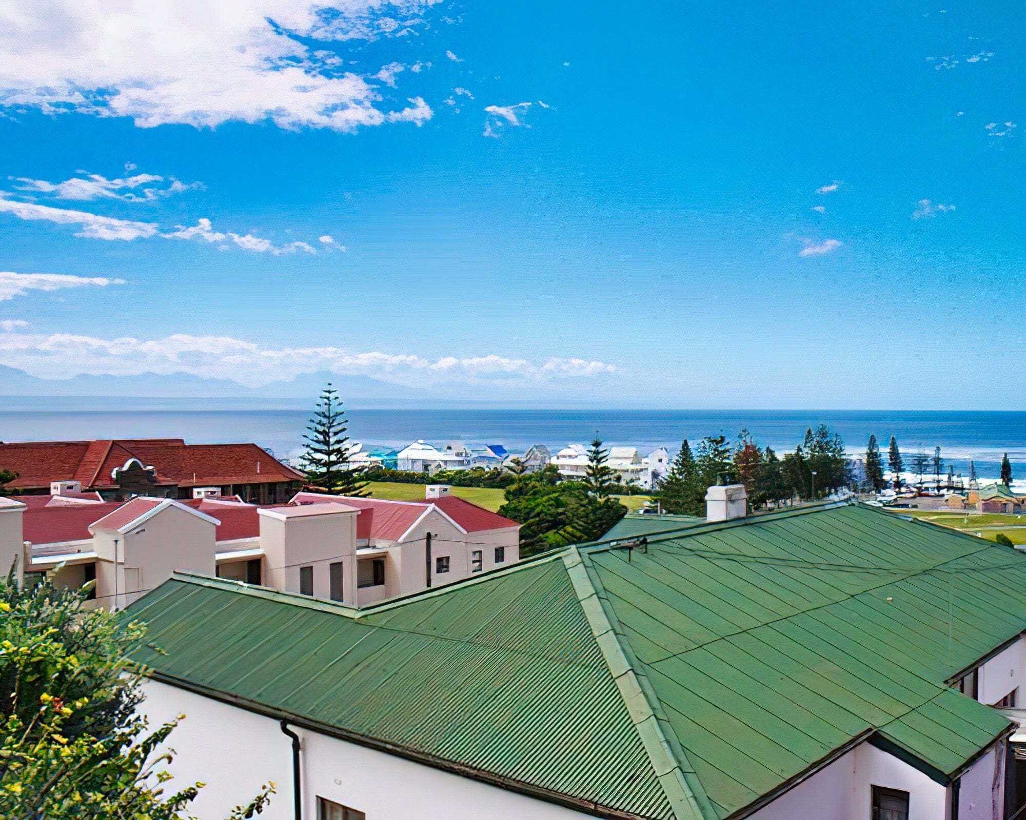 Perna Perna Mossel Bay - Image 3