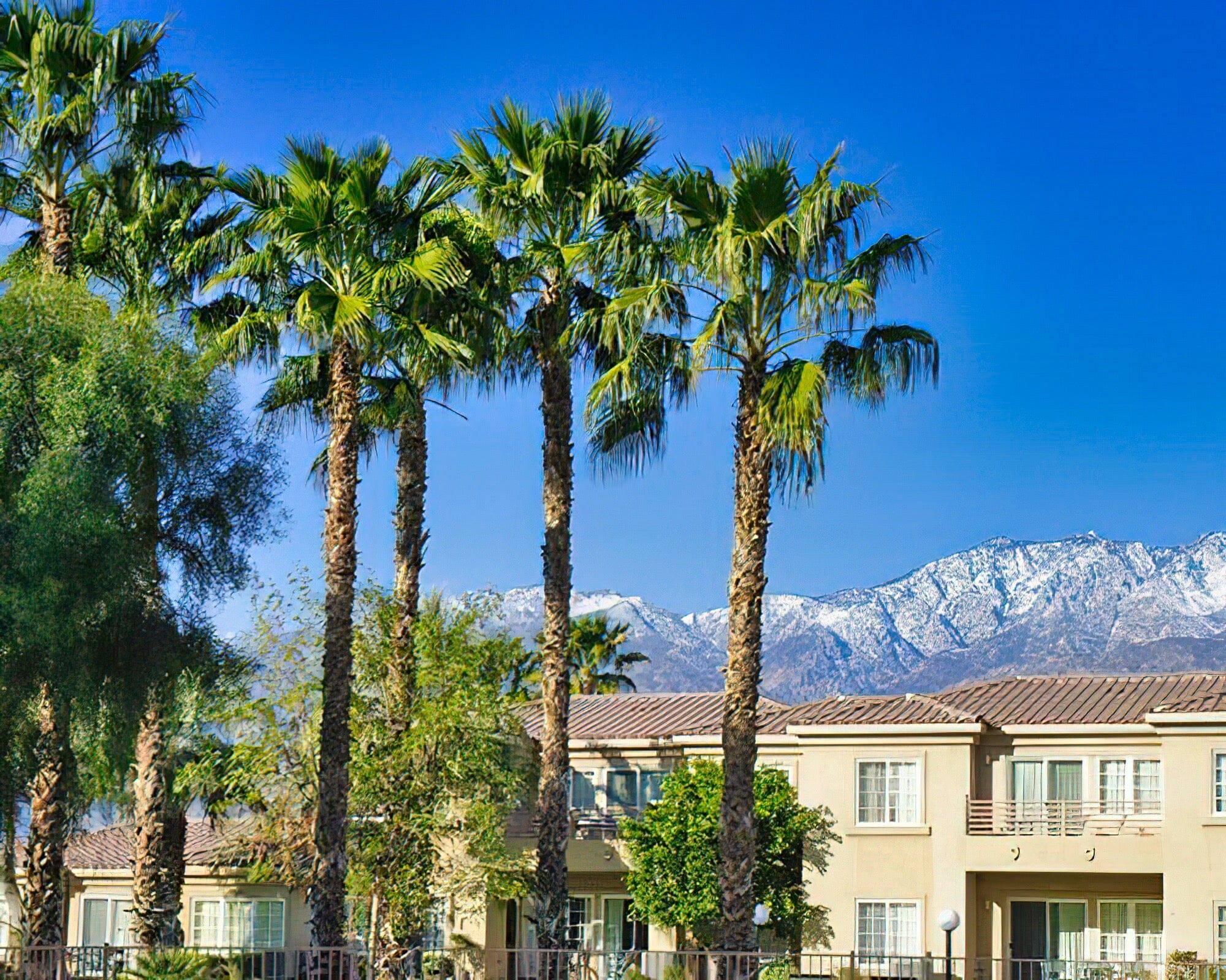 Raintree's Cimarron Golf Resort Palm Springs - Image 9