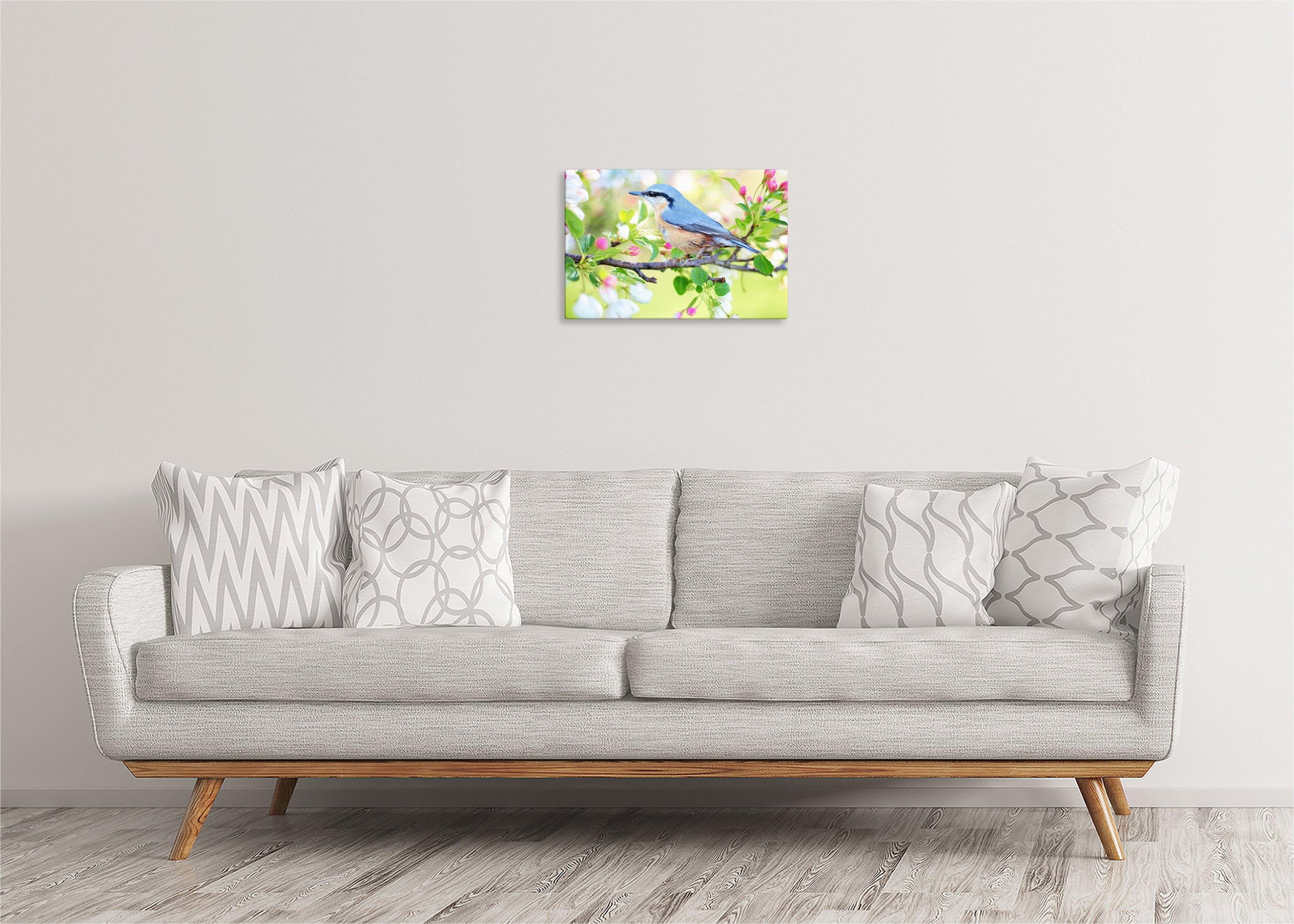 Red-Breasted Nuthatch | Gallery Wrap Wall Canvas - Image 3