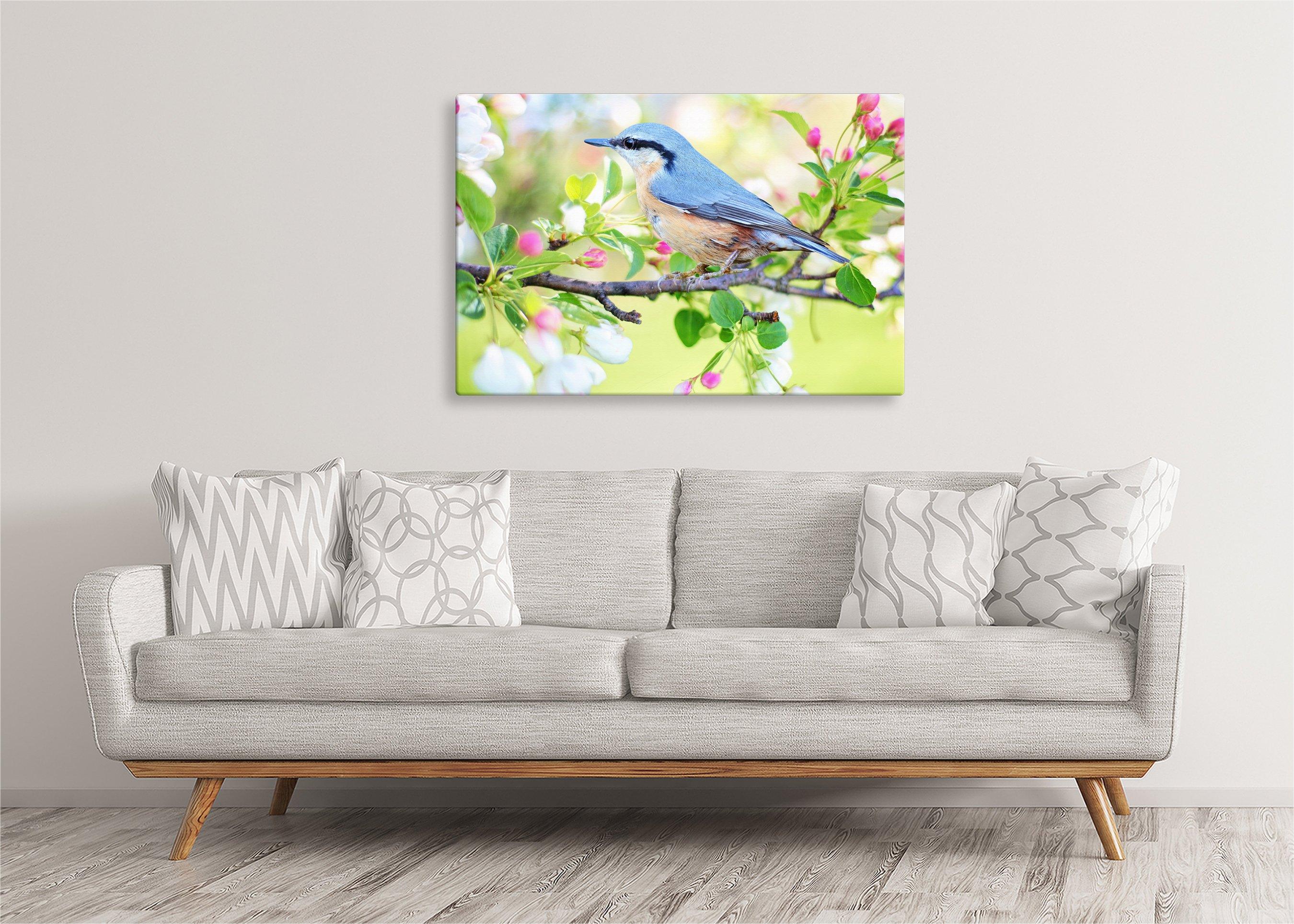 Red-Breasted Nuthatch | Gallery Wrap Wall Canvas - Image 5