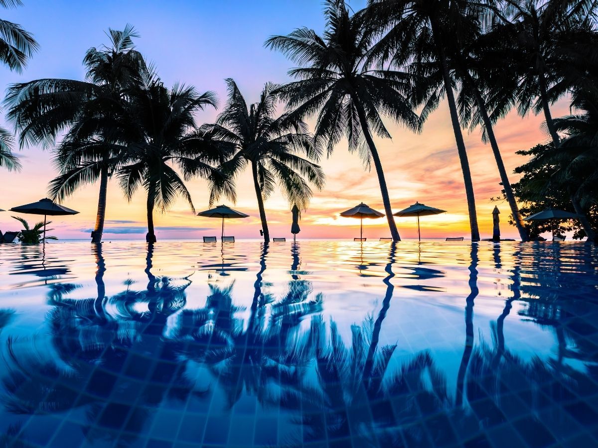 Sample Hawaiian Hotel 3 - Image 3