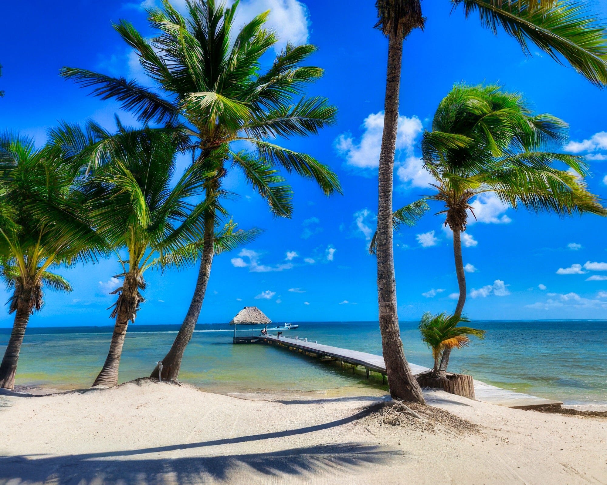 Sapphire Beach Resort - Image 12