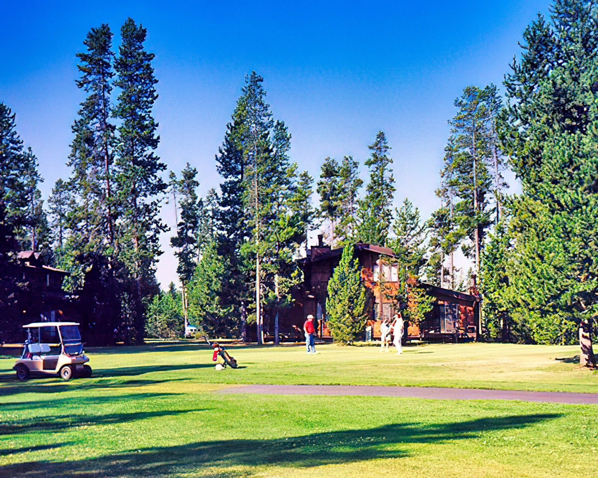 Sapphire Resorts at The Timbers - Image 12