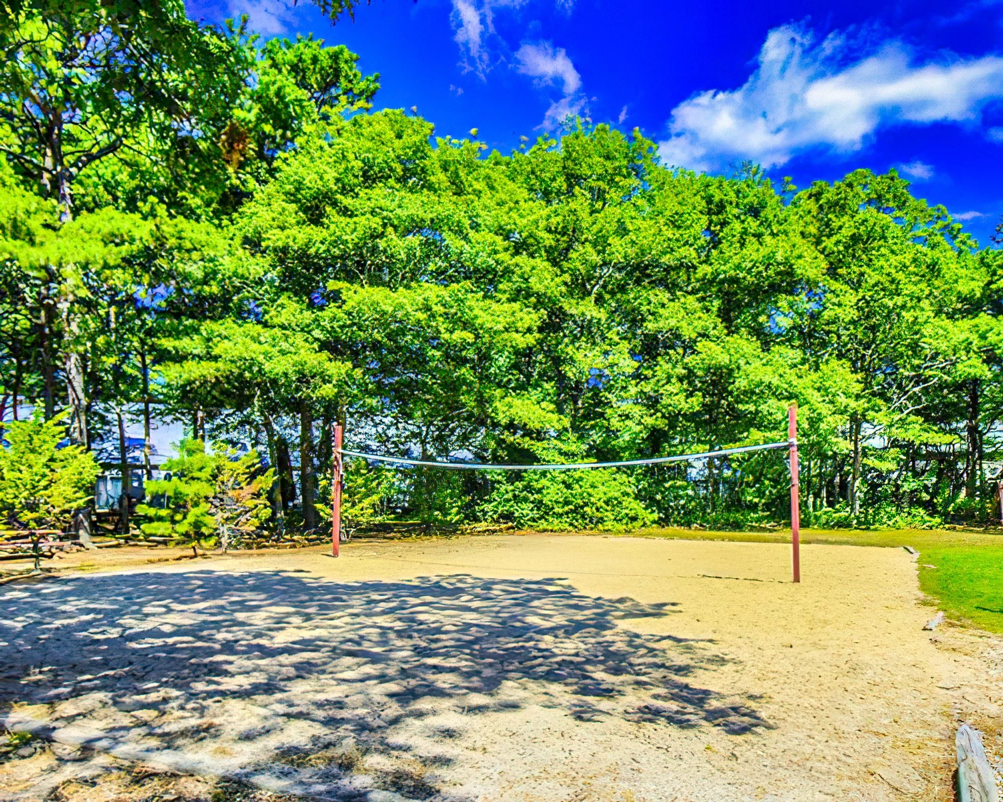 Sea Mist Resort - Image 16