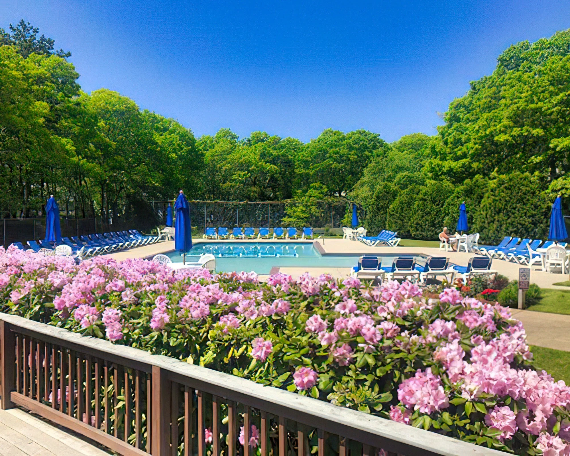 Sea Mist Resort - Image 18