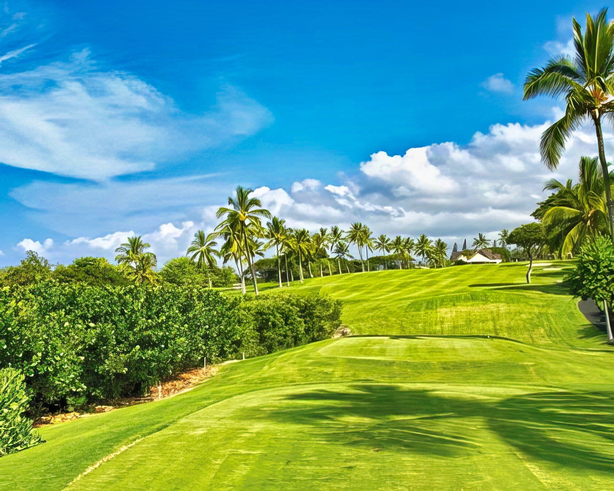 Shell Vacations Club at Holua Resort at Mauna Loa Village - Image 15