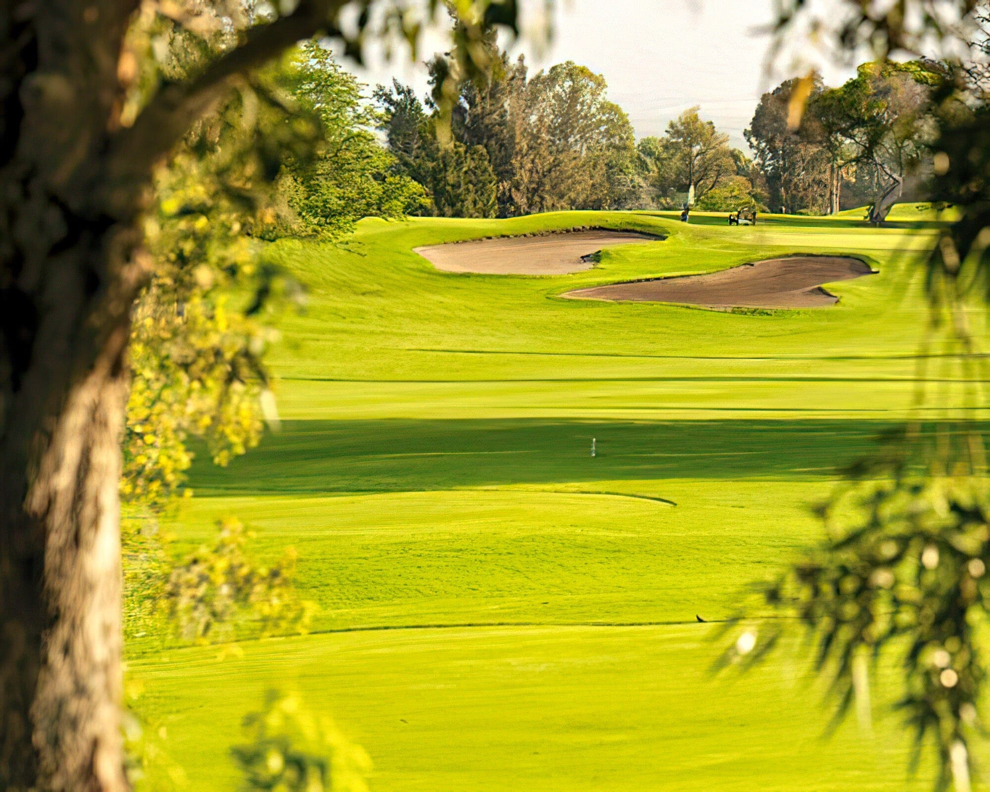 Paniolo Greens by Shell Vacations Club - Image 13