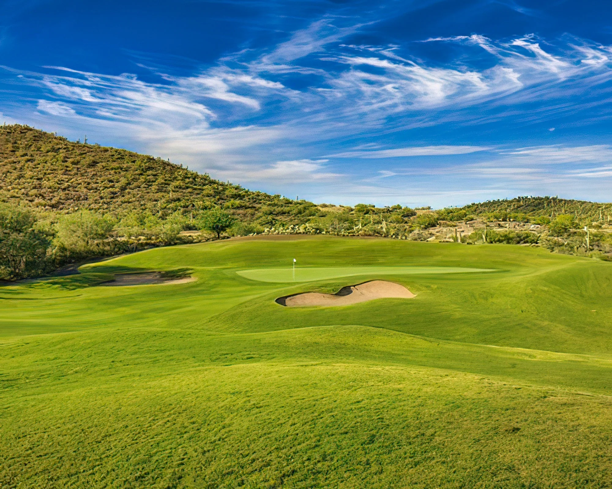 Shell Vacations Club at Starr Pass Golf Suites - Image 17