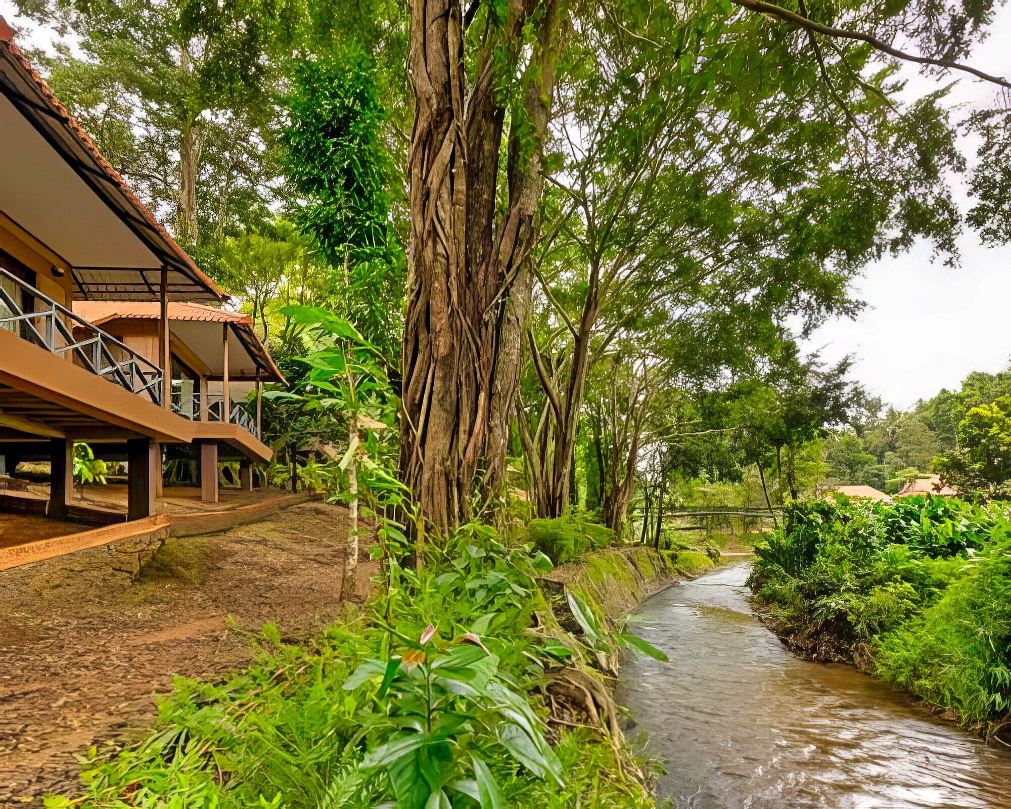 Sterling Vythiri Wayanad - Image 7