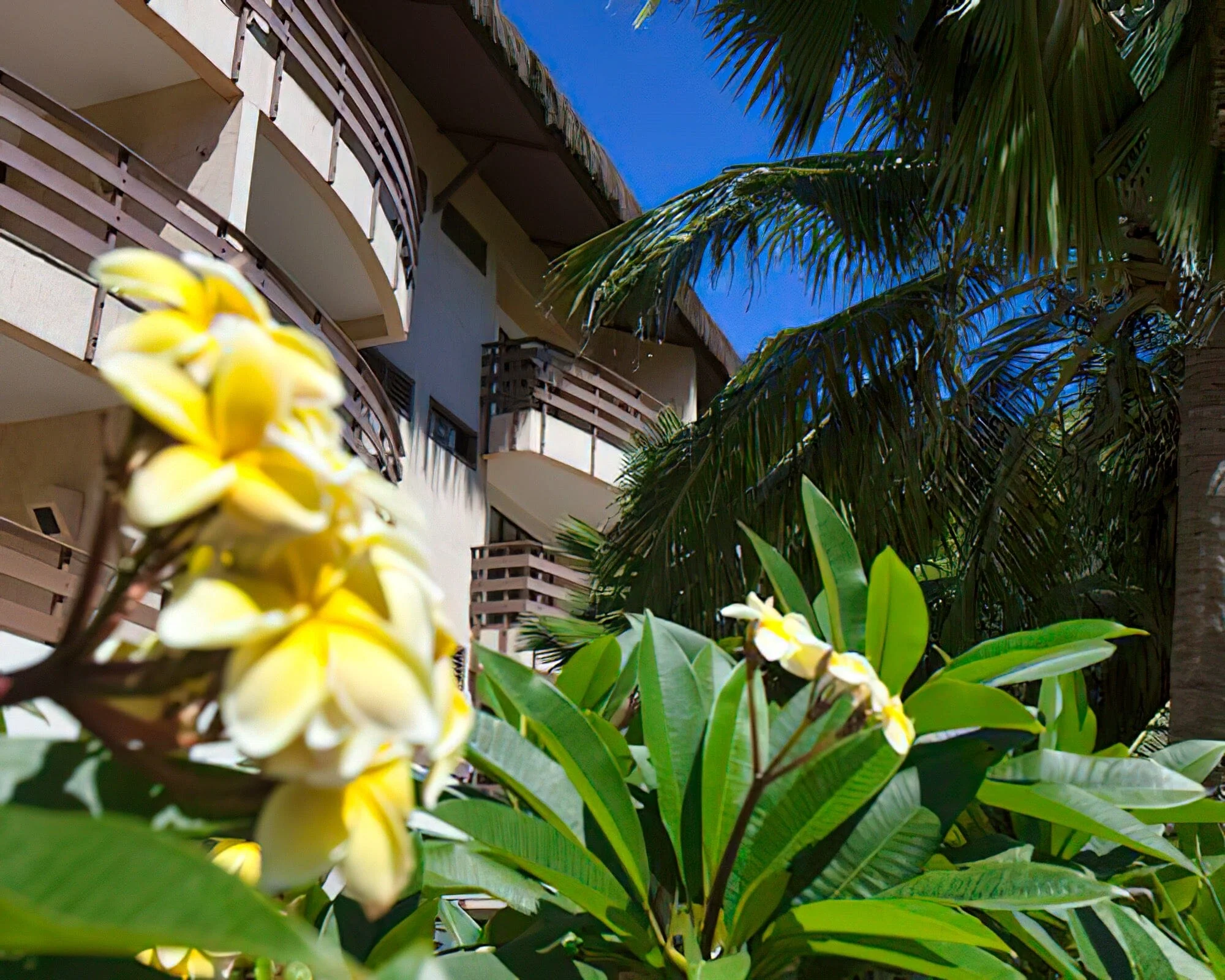 Suites Beach Park Resort - Image 8