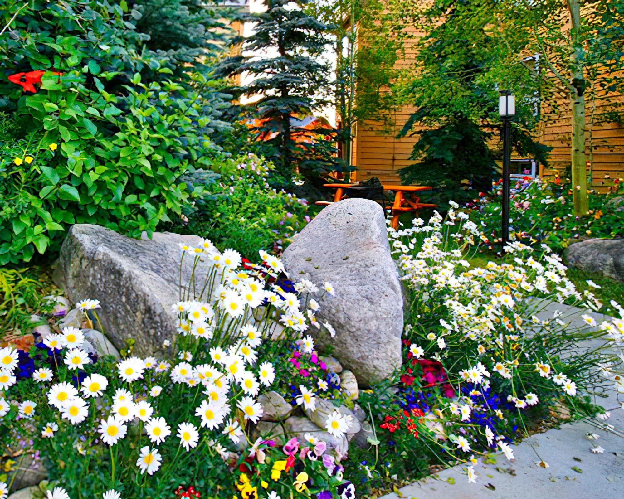 Swan Mountain Resort - Image 10