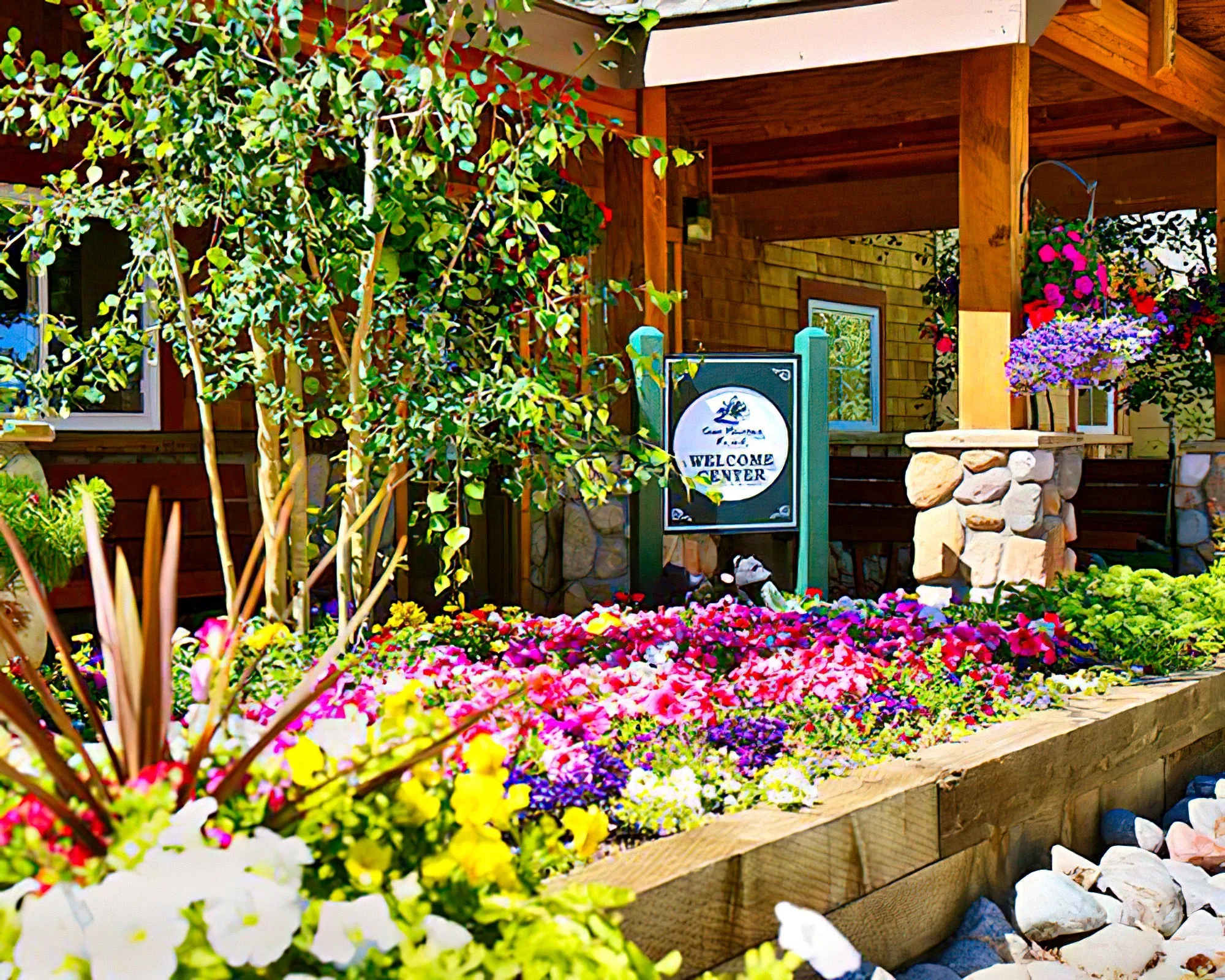 Swan Mountain Resort - Image 29