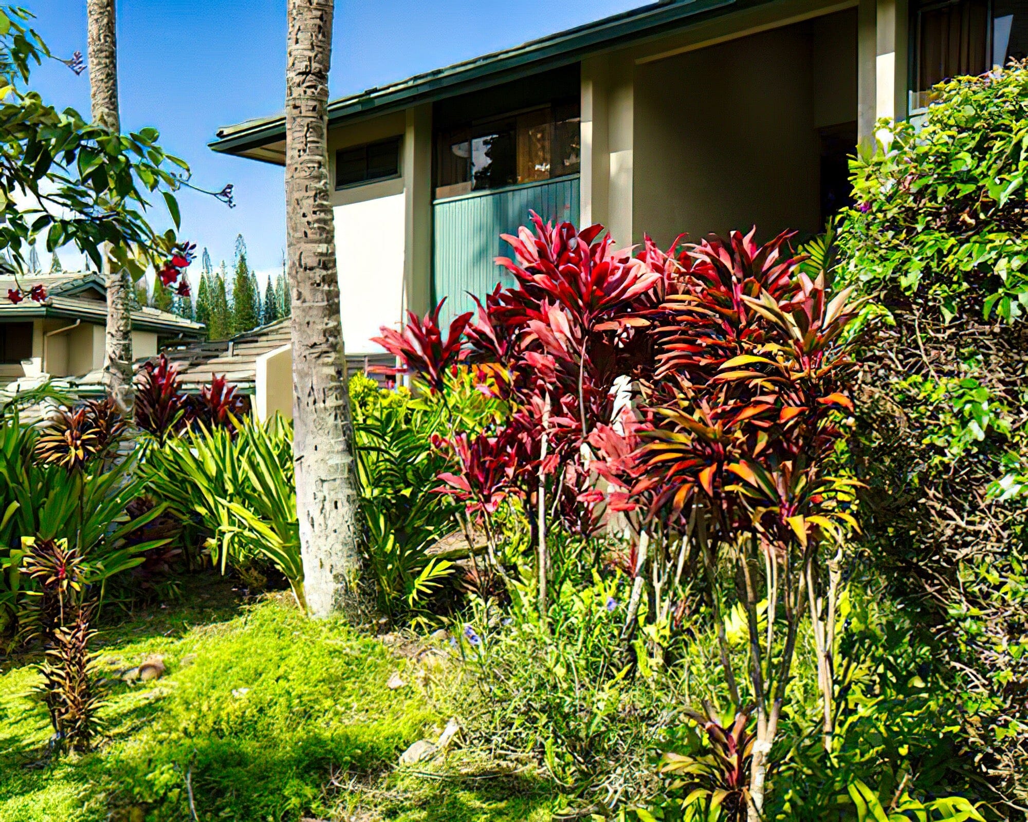 The Gardens at West Maui - Image 9