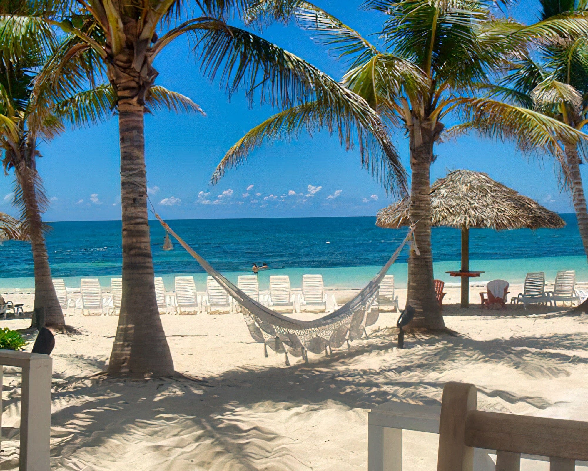 The Marlin at Taino Beach