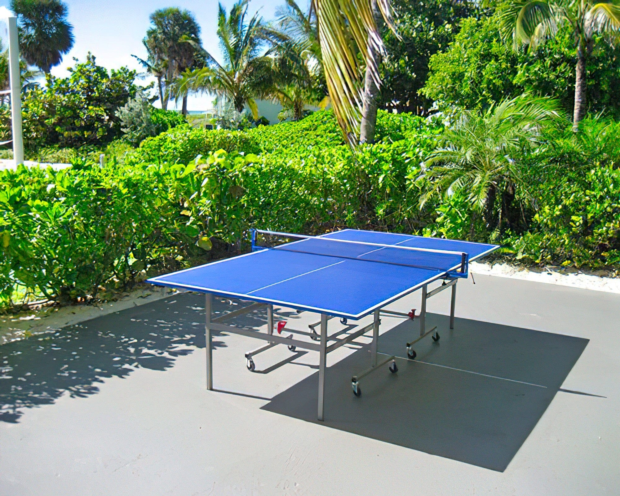 The Marlin at Taino Beach - Image 25