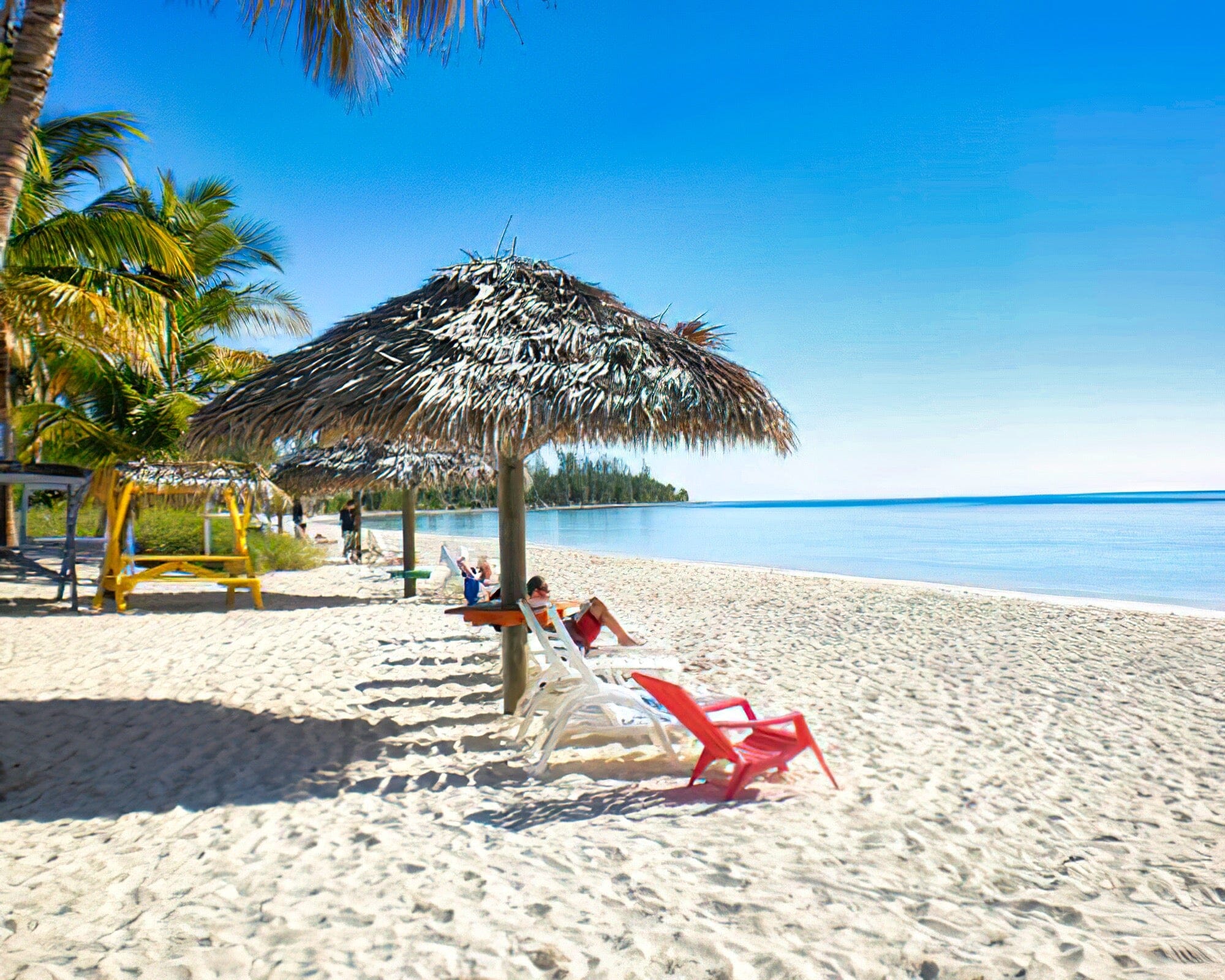 The Marlin at Taino Beach - Image 4
