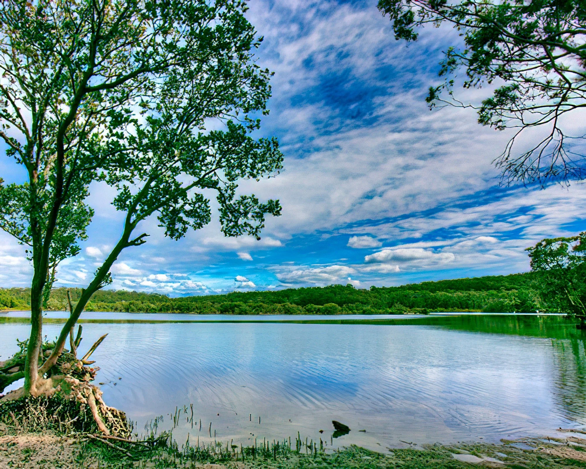 The Moorings Resort - Image 7