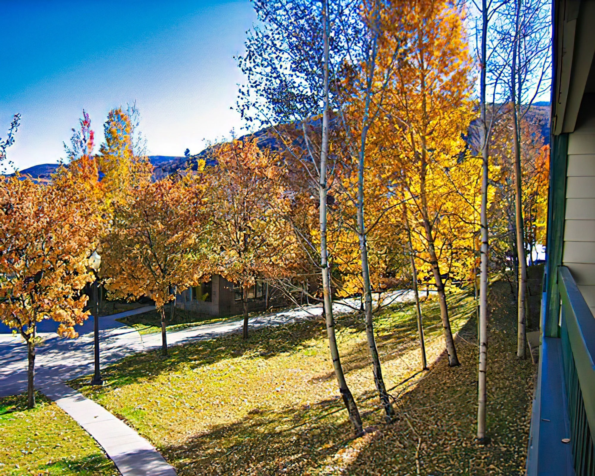 Park Regency Resort - Image 4