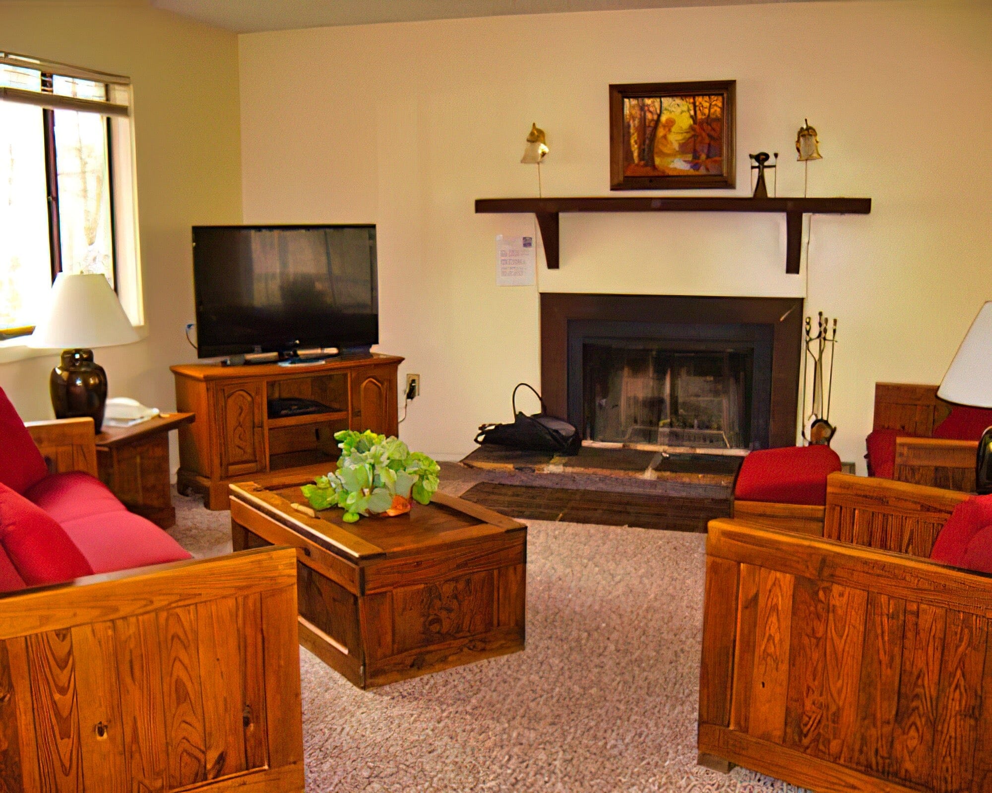 The Pines - Image 4