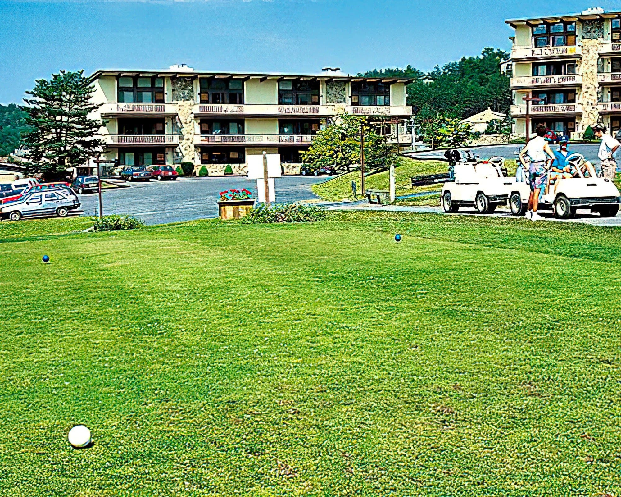 The Pines - Image 8