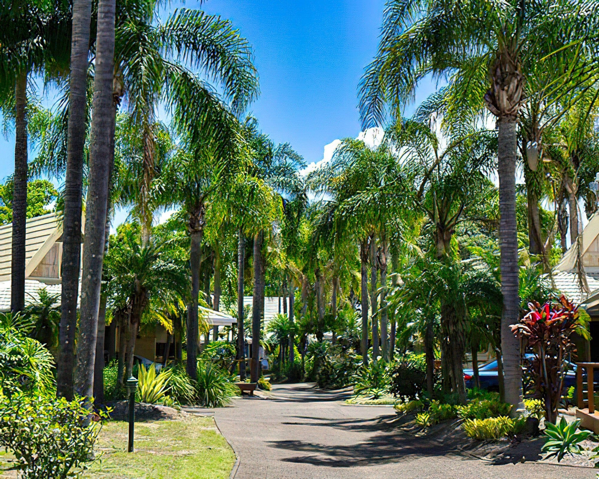 ULTIQA at Village Resort - Image 3