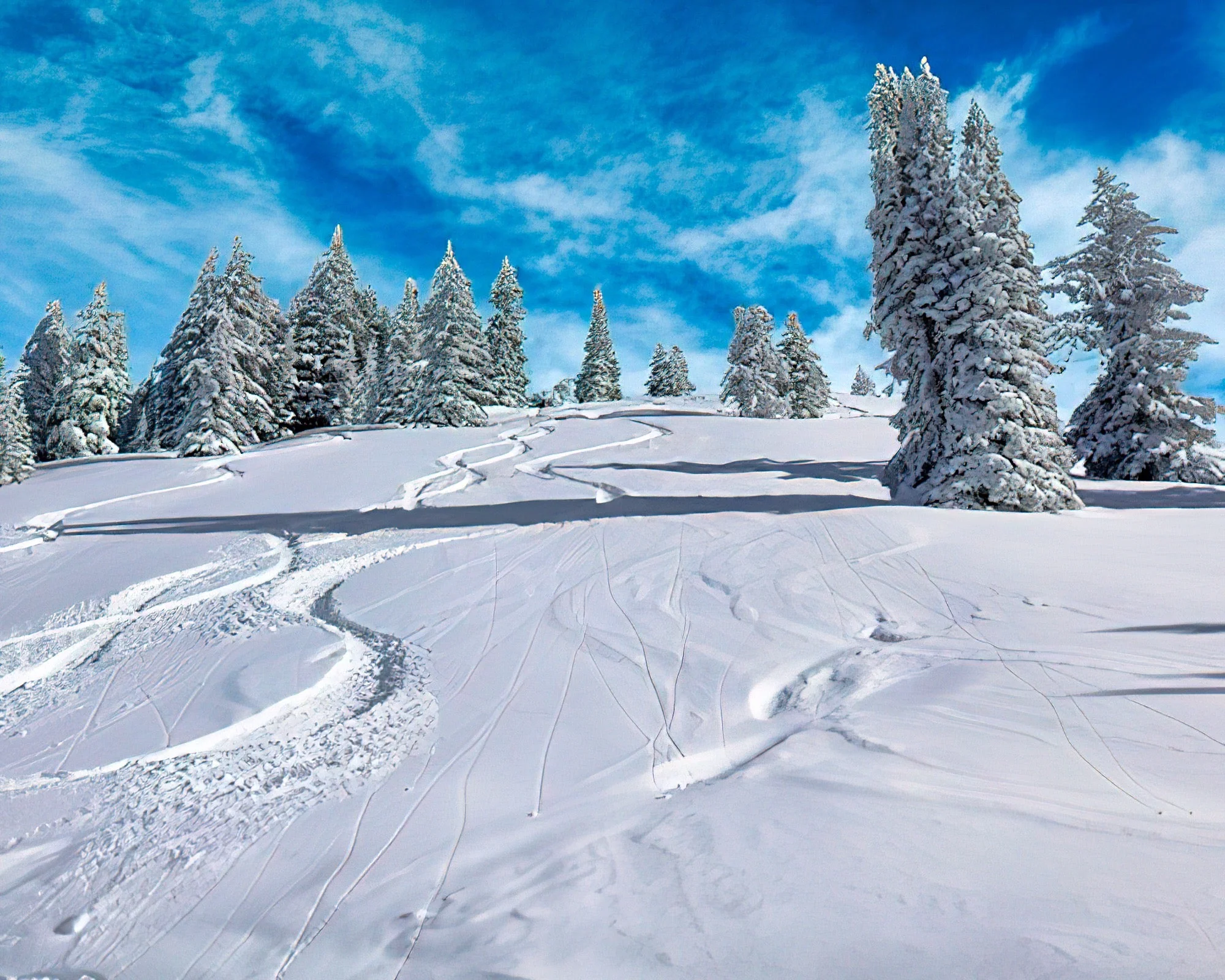 Vail Run Resort - Image 13