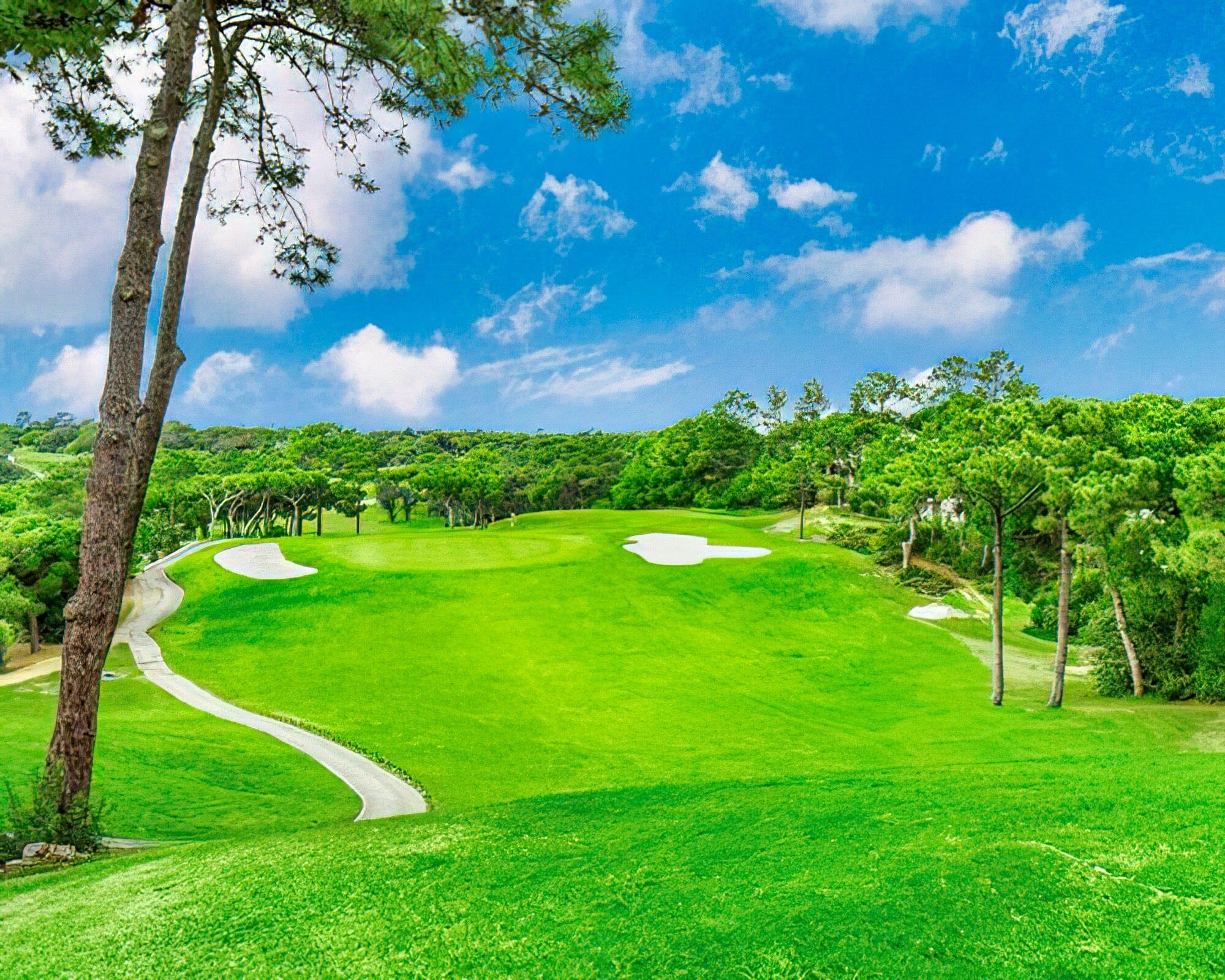 Vilar Do Golf Standard - Image 9