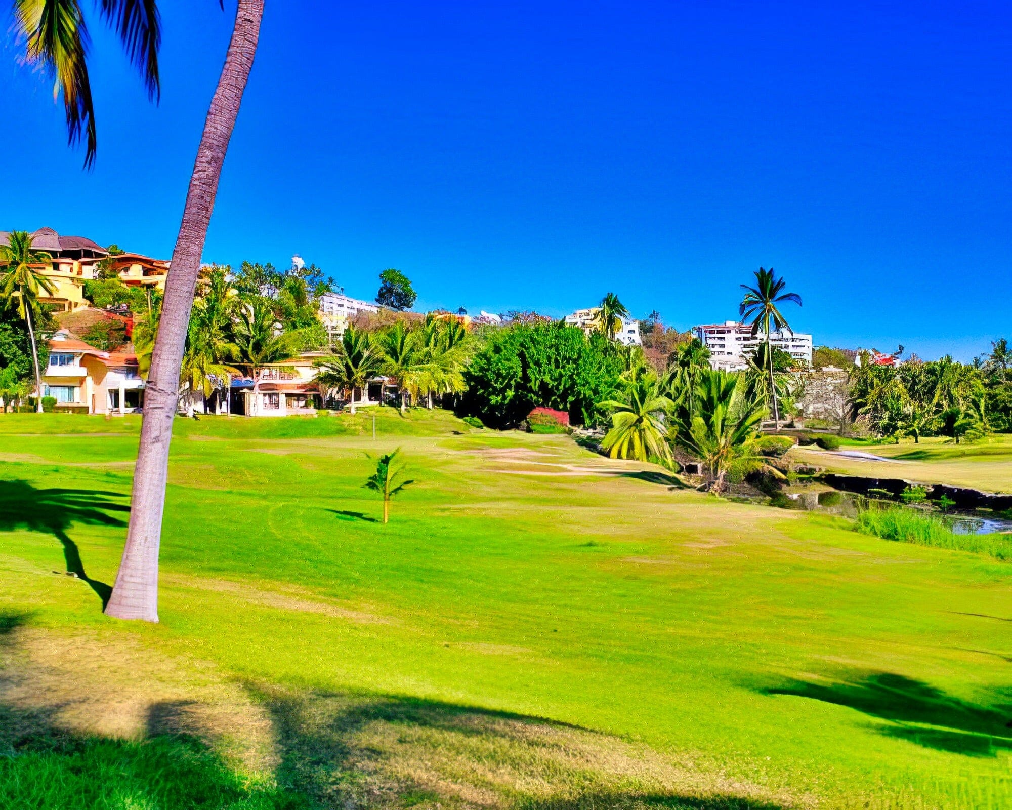 Villas del Palmar Manzanillo - Image 23