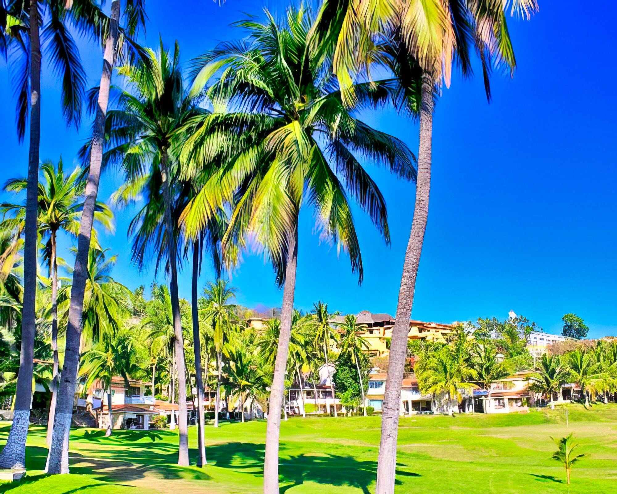 Villas del Palmar Manzanillo - Image 8